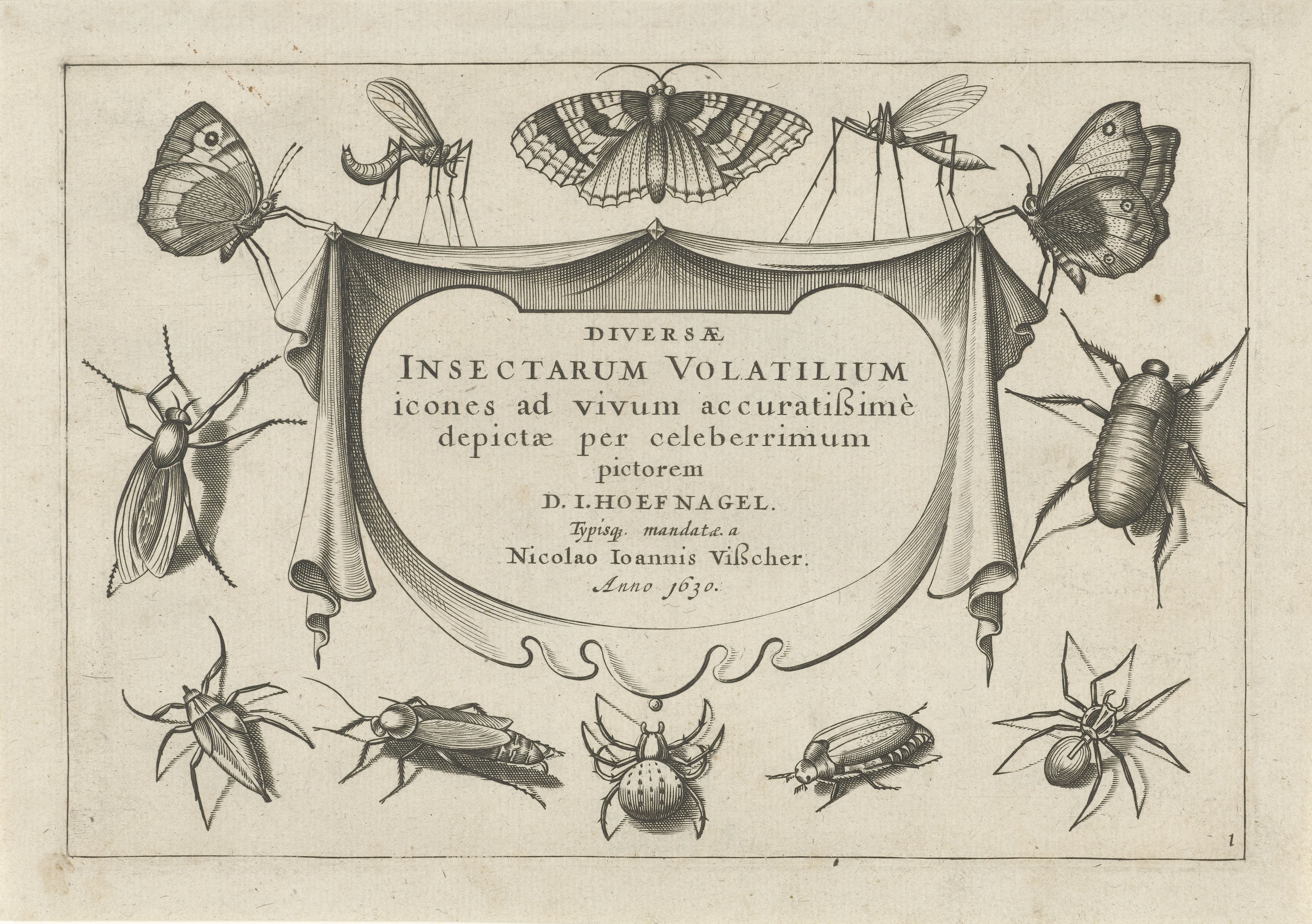 Insecten