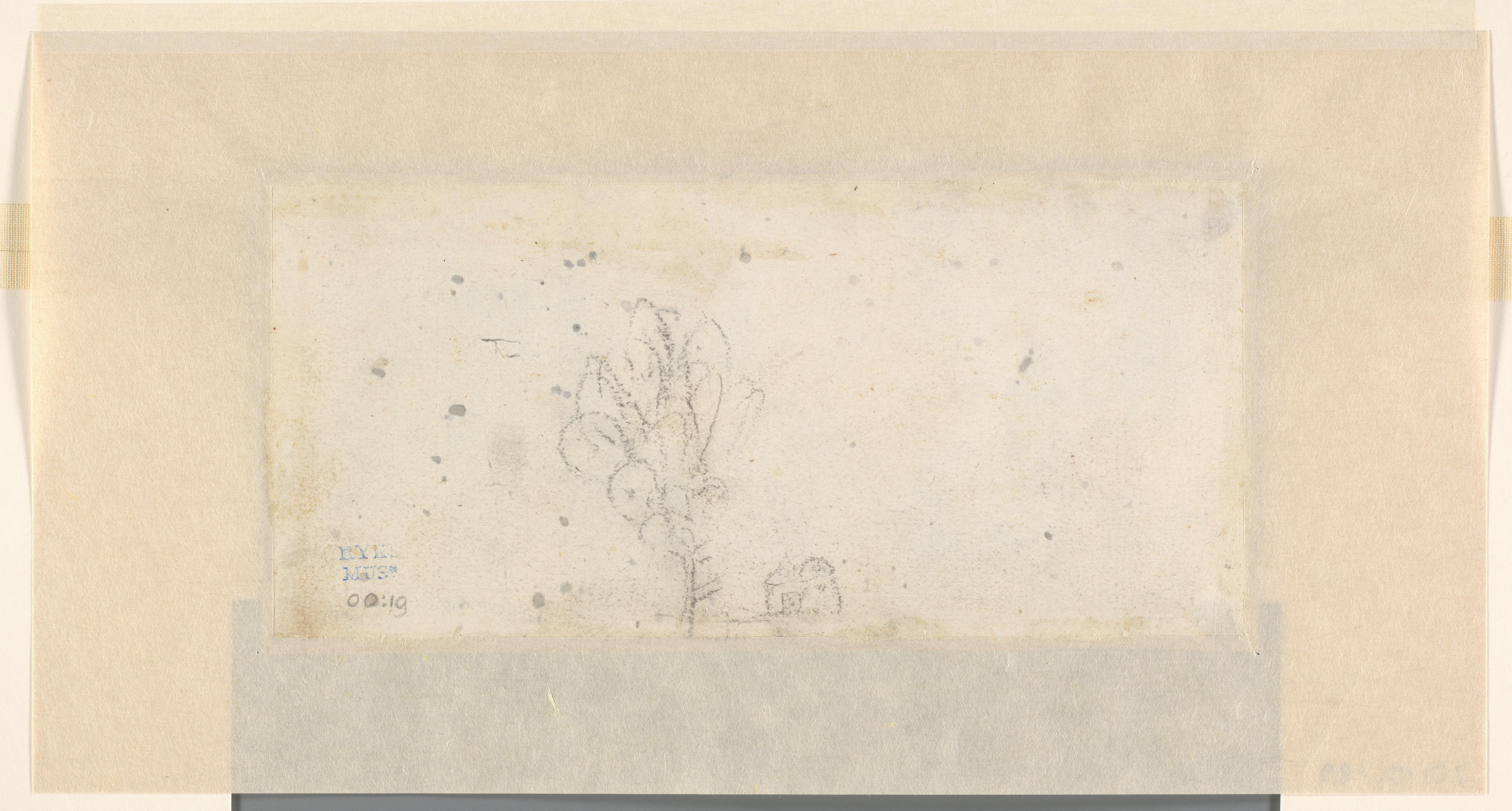 Schets van een huis en een boom (kindertekening?)