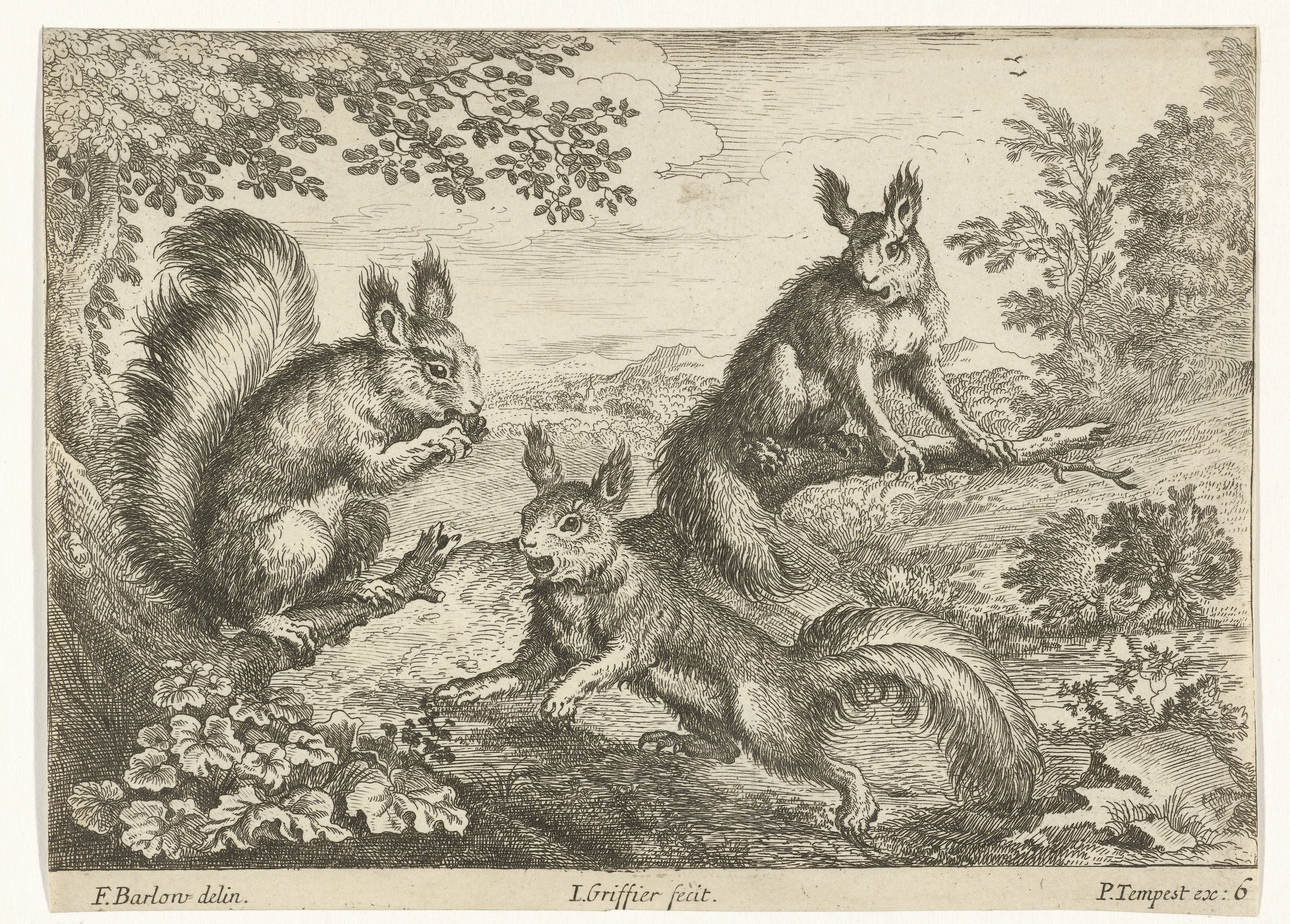 Drie eekhoorns