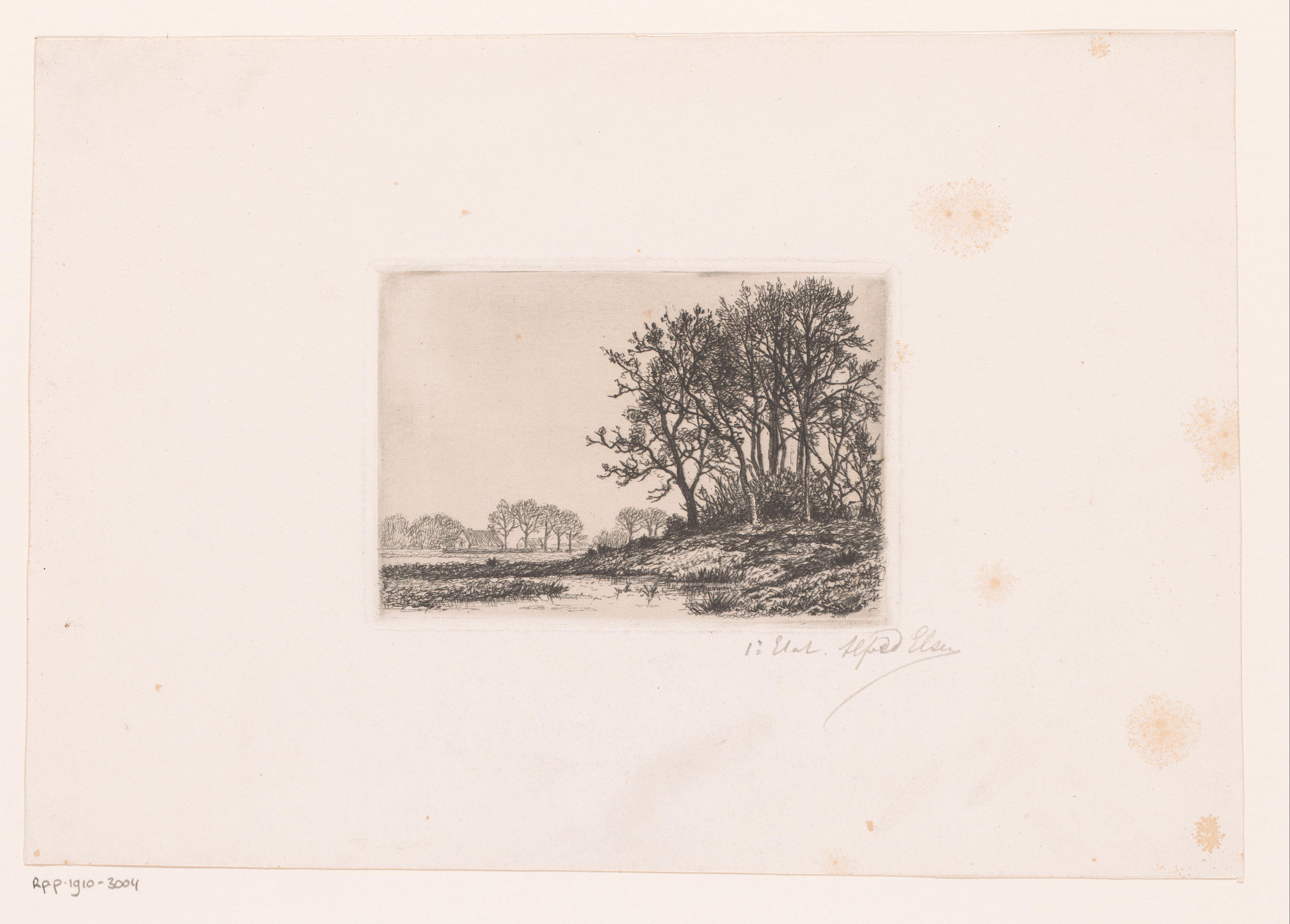 Landschap met bomen op een heuvel aan het water