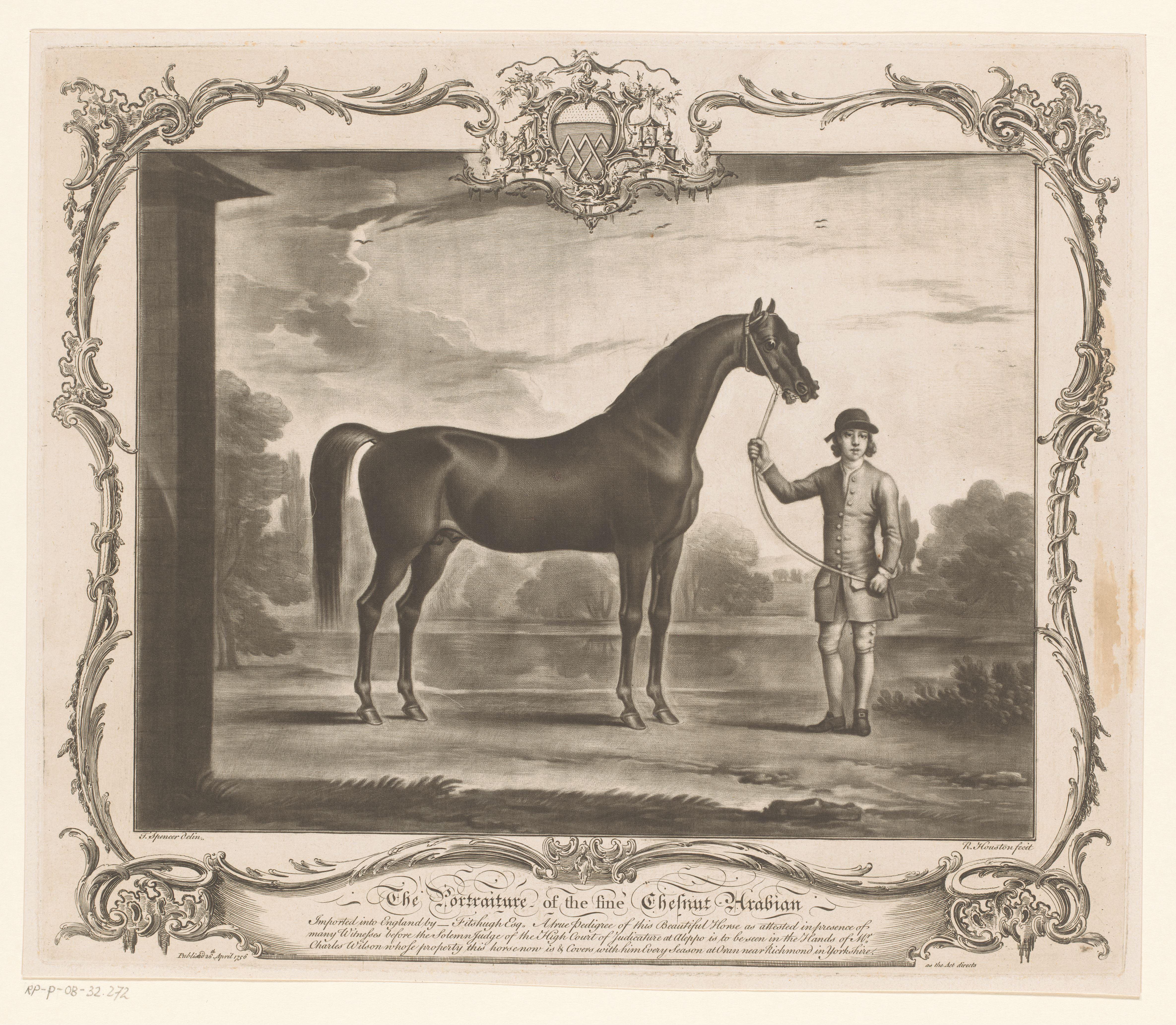 Racepaard met jockey