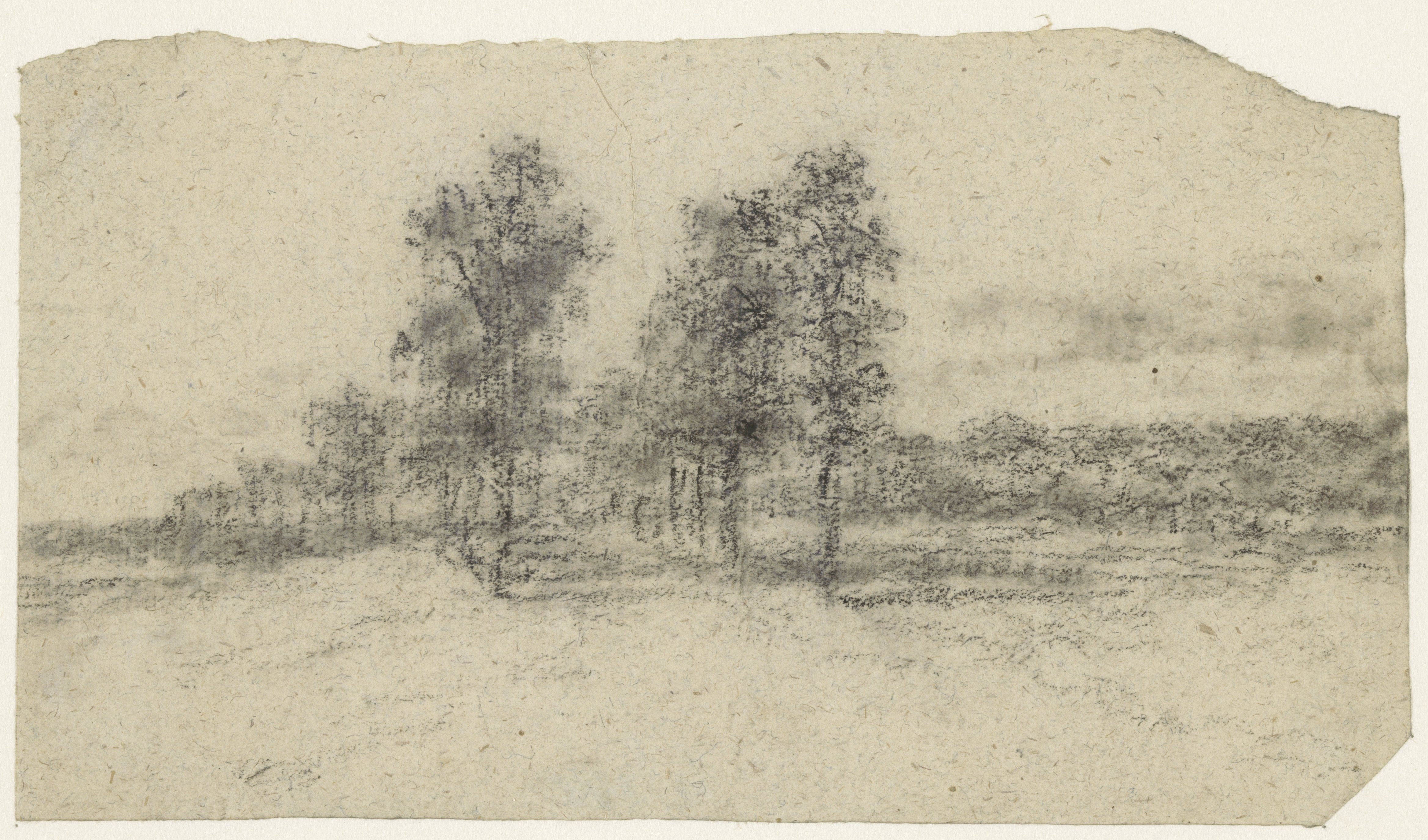 Weg met bomen