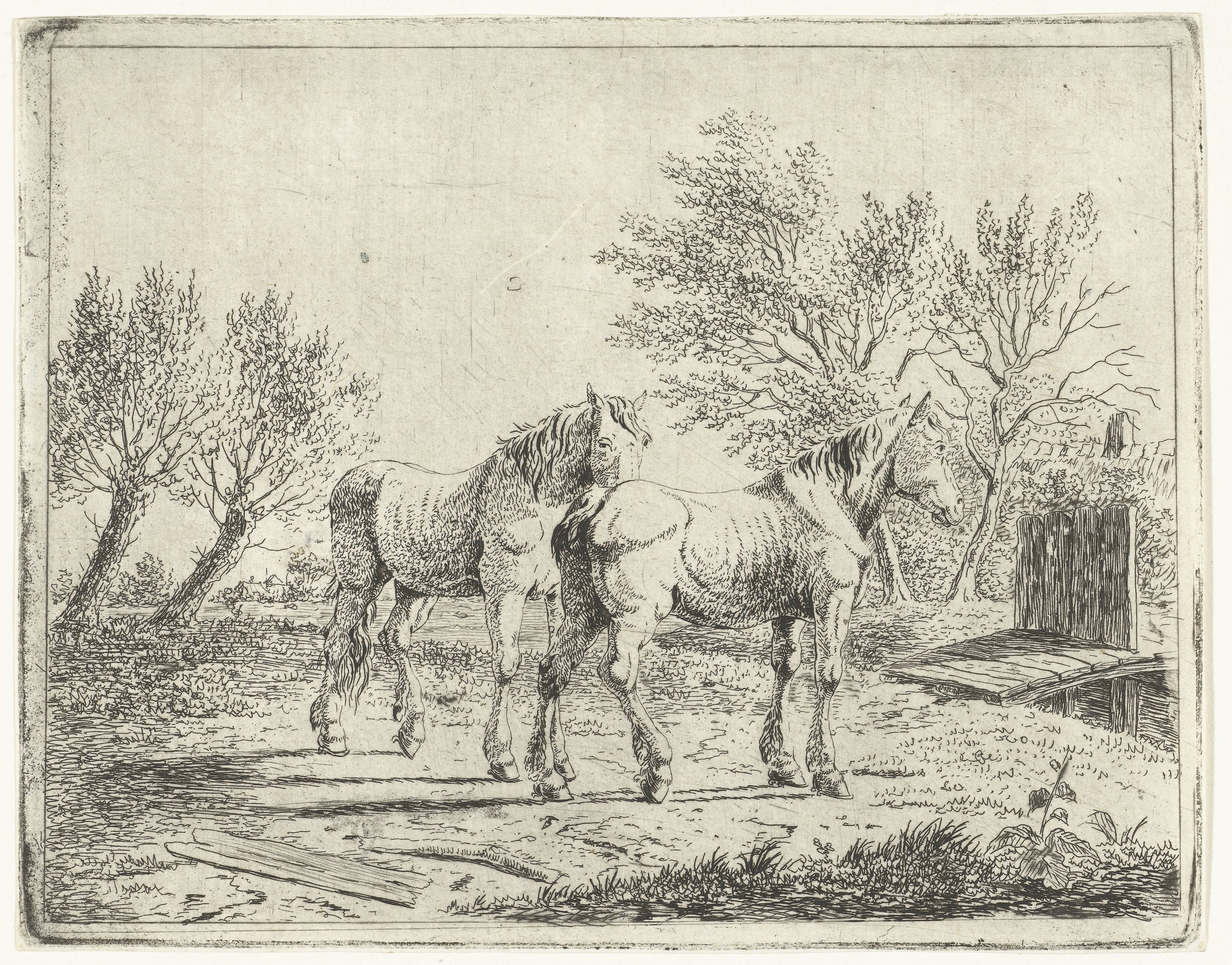 Weidelandschap met twee paarden bij bruggetje en boerderij