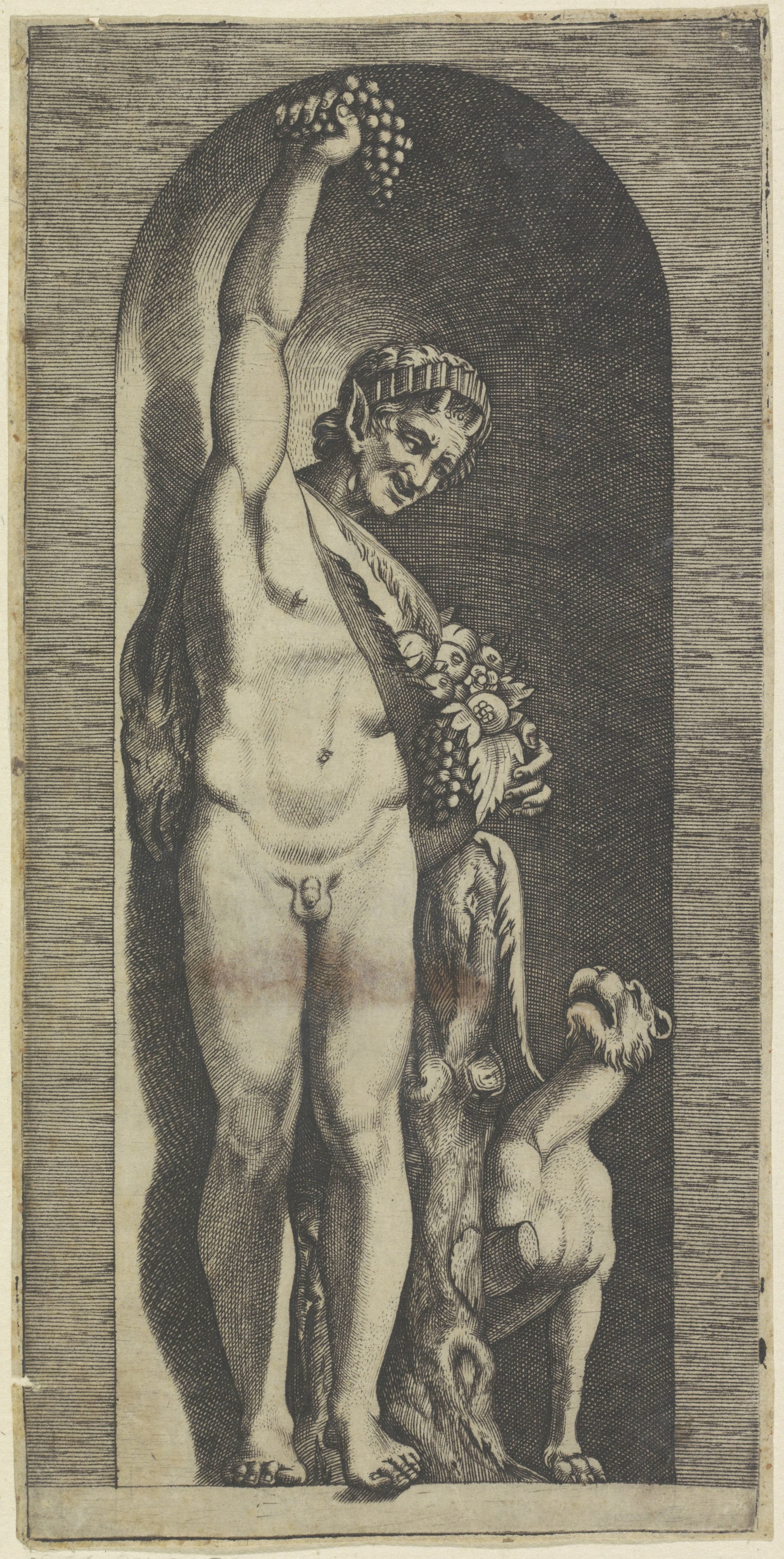 Faun en tijger