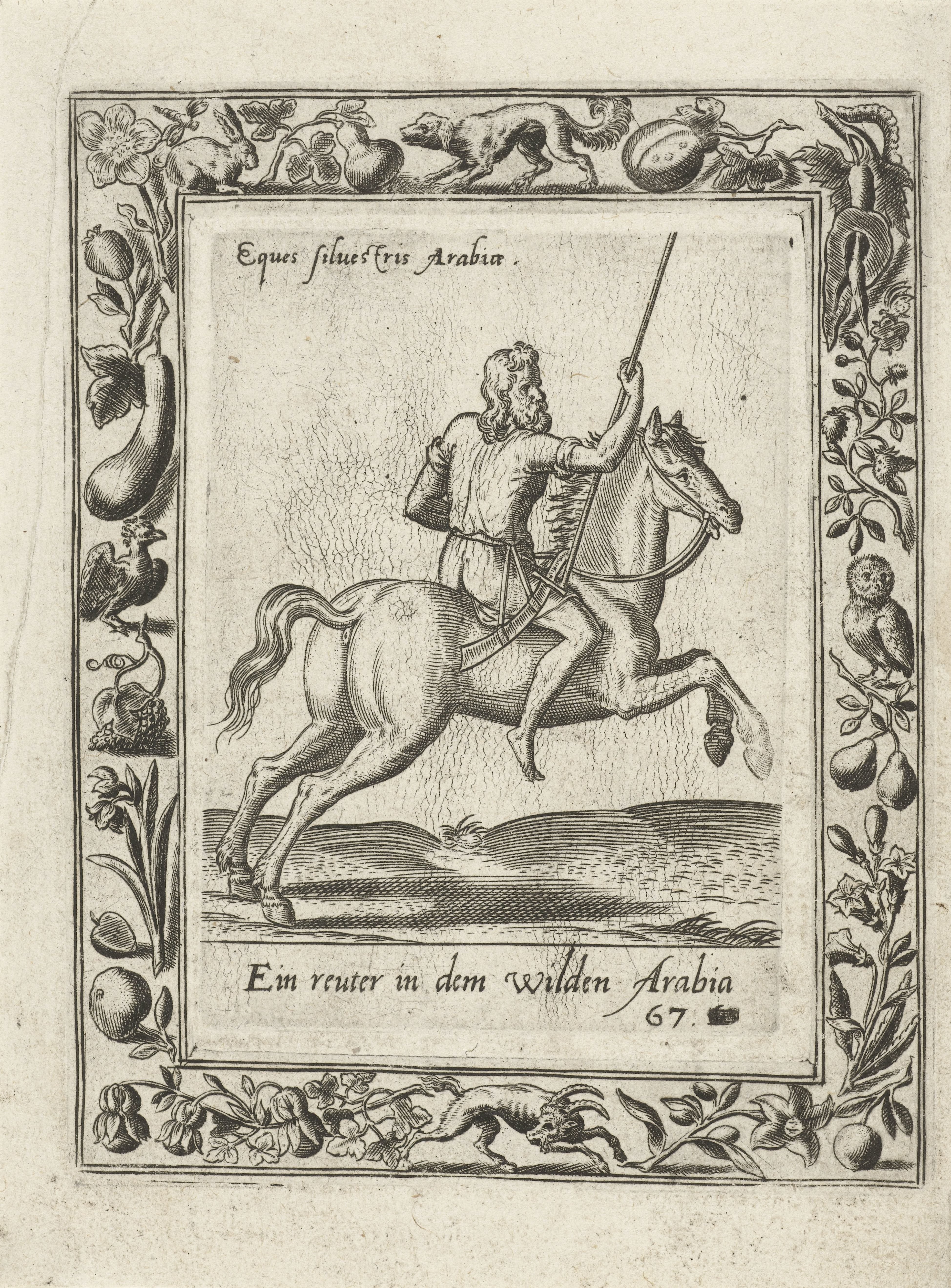 Arabische ruiter