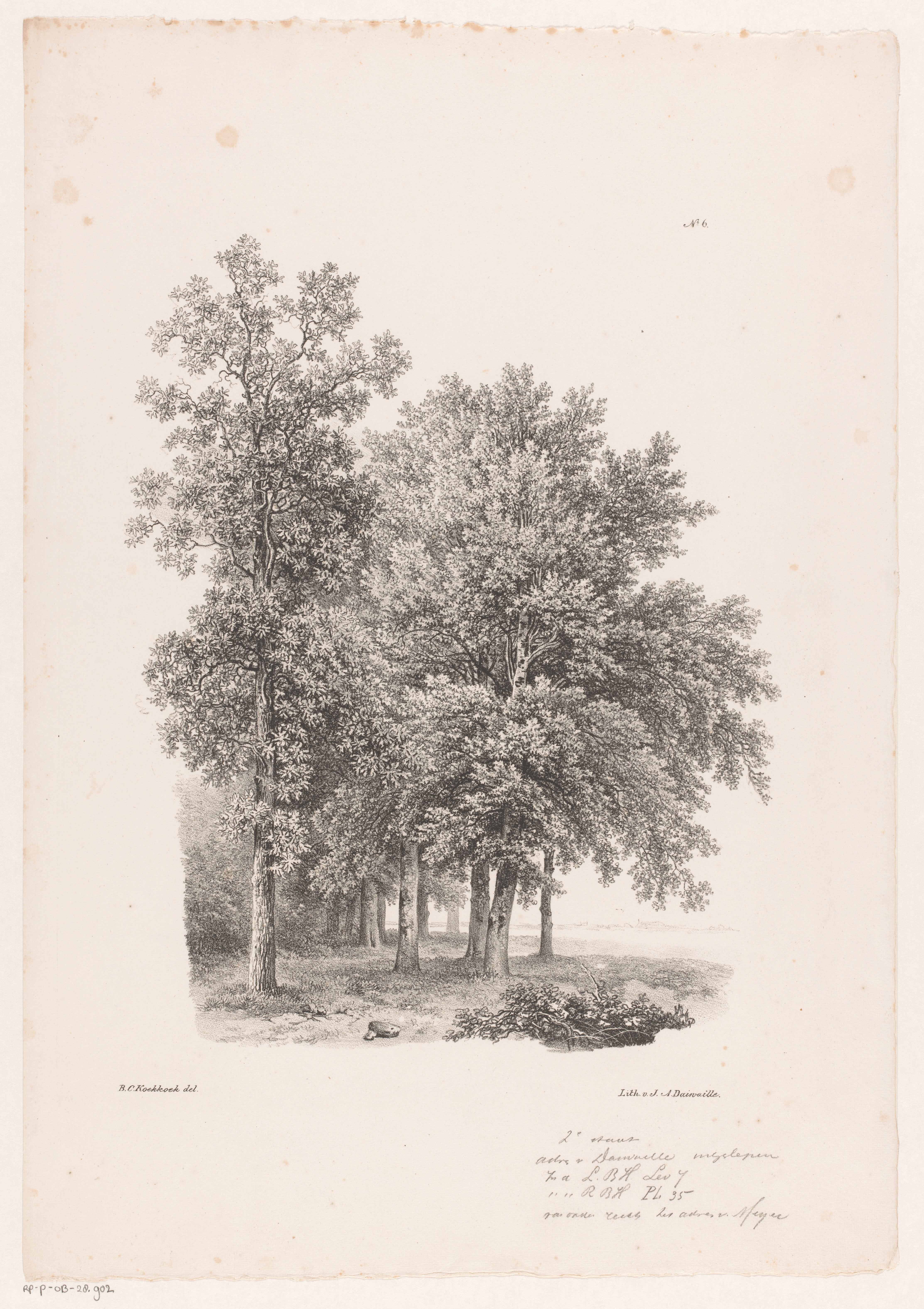 Bomen naast een weiland