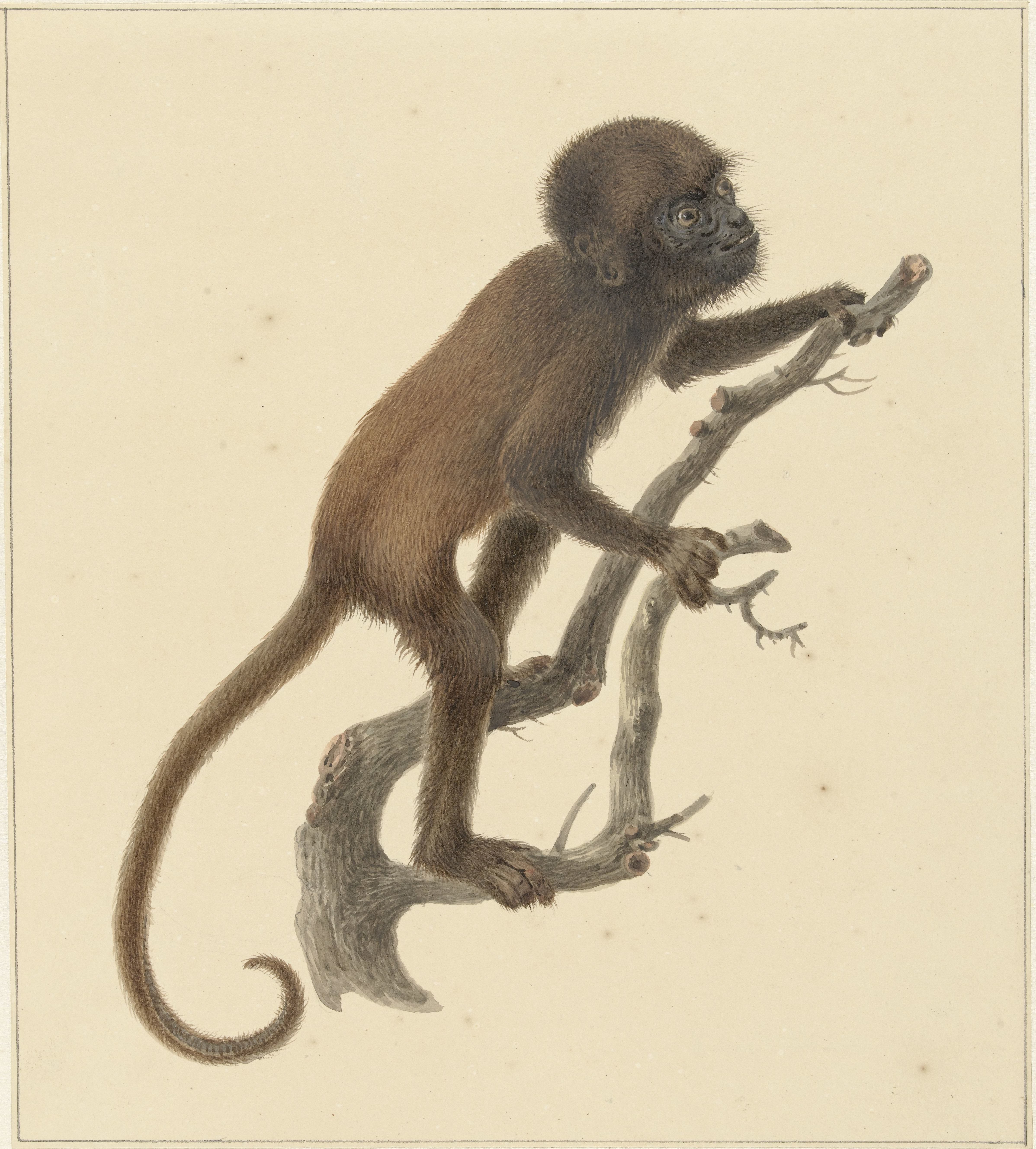 Pieter Pietersz. Barbiers