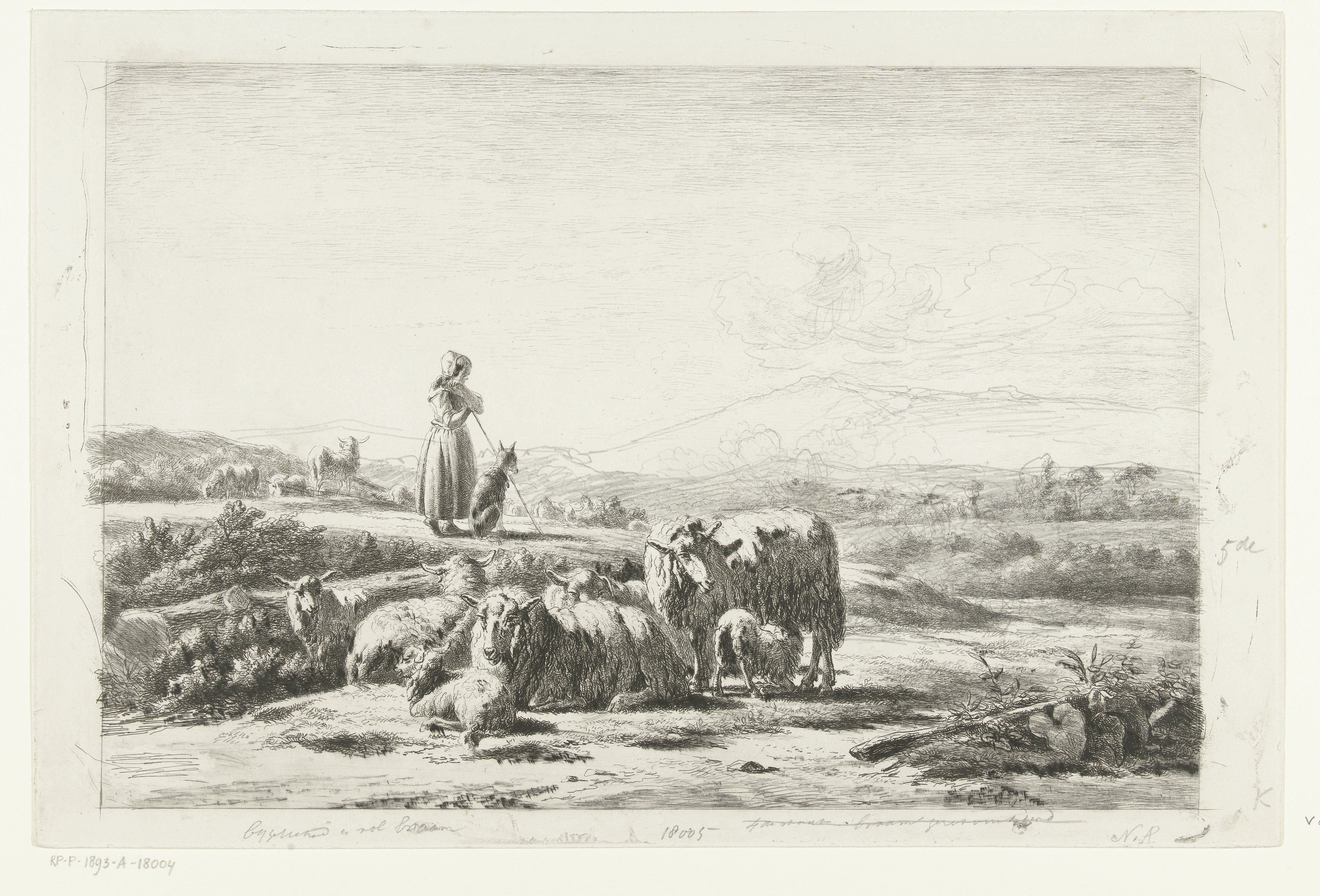 Landschap met herderin en hond bij kudde schapen