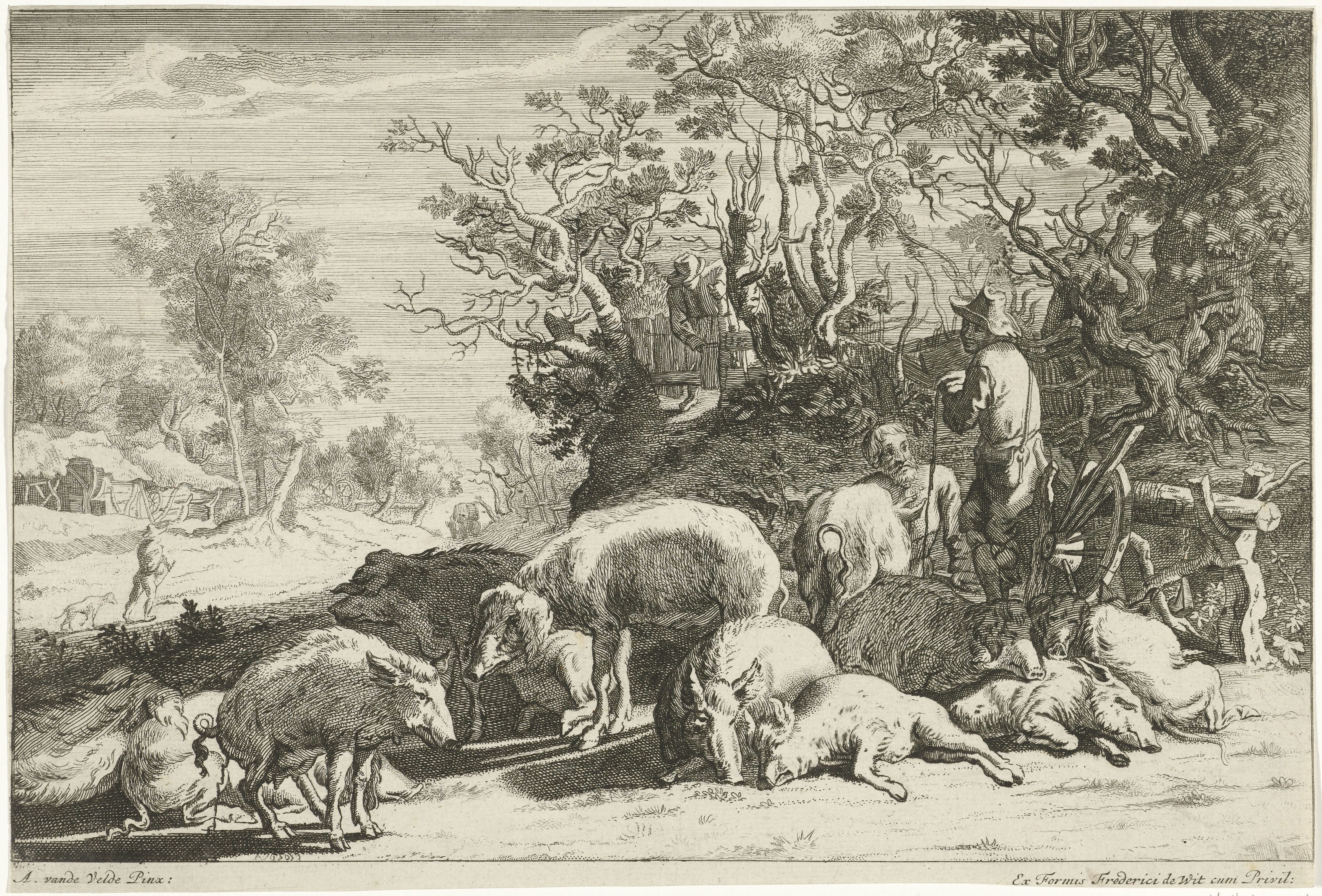 Varkenshoeder met kudde varkens