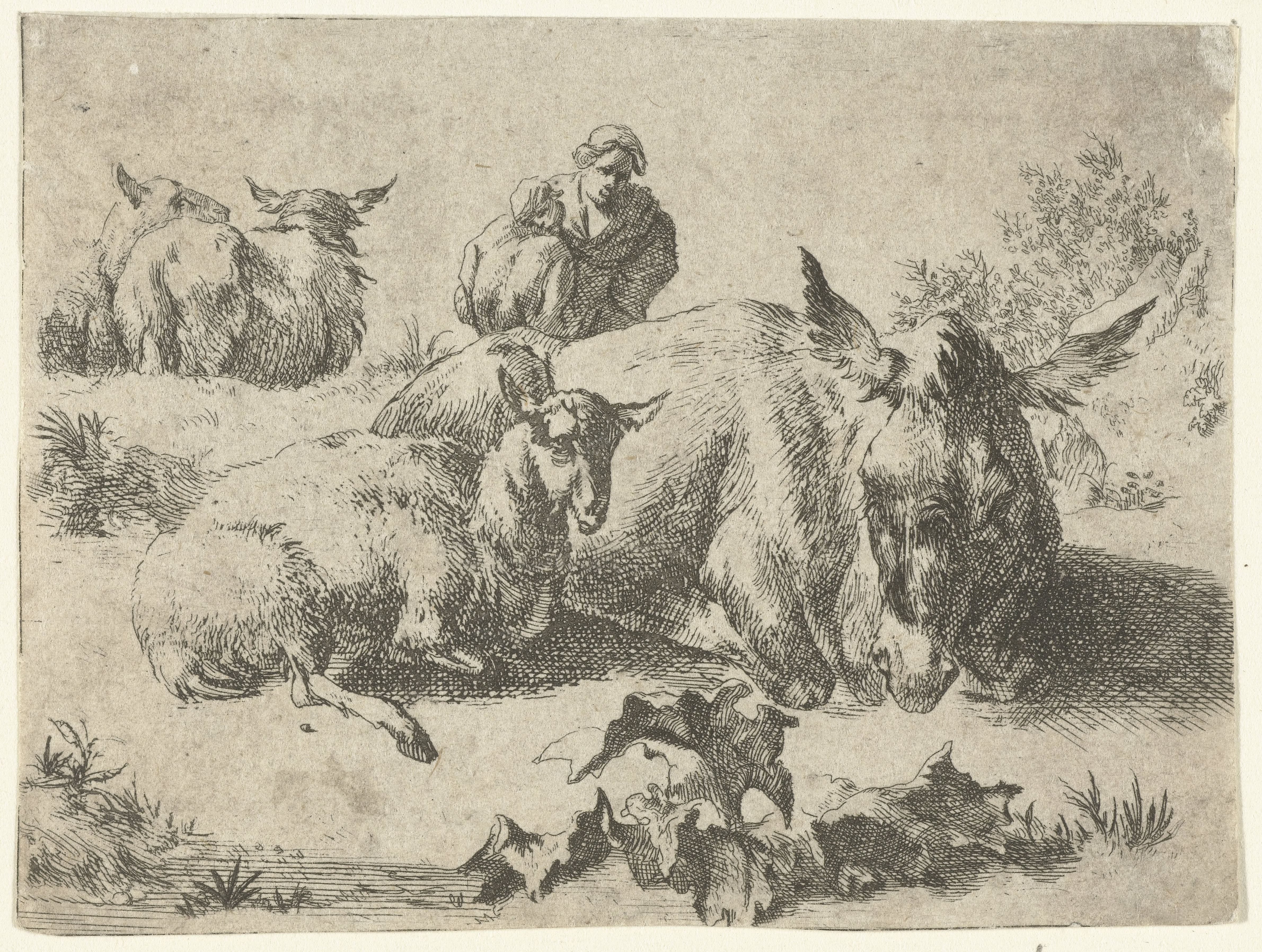 Herderin met ezel en drie schapen