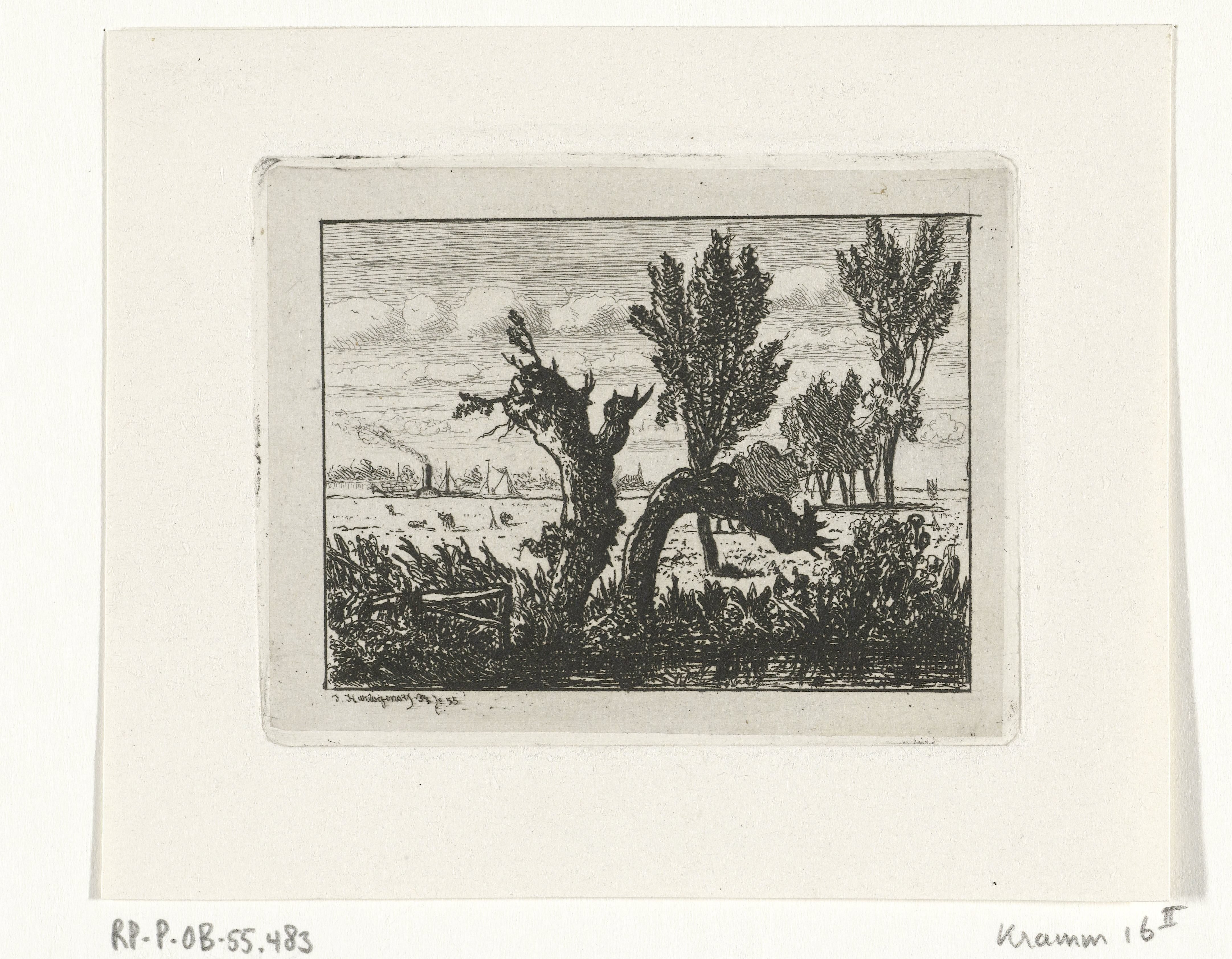 Landschap met knotwilgen