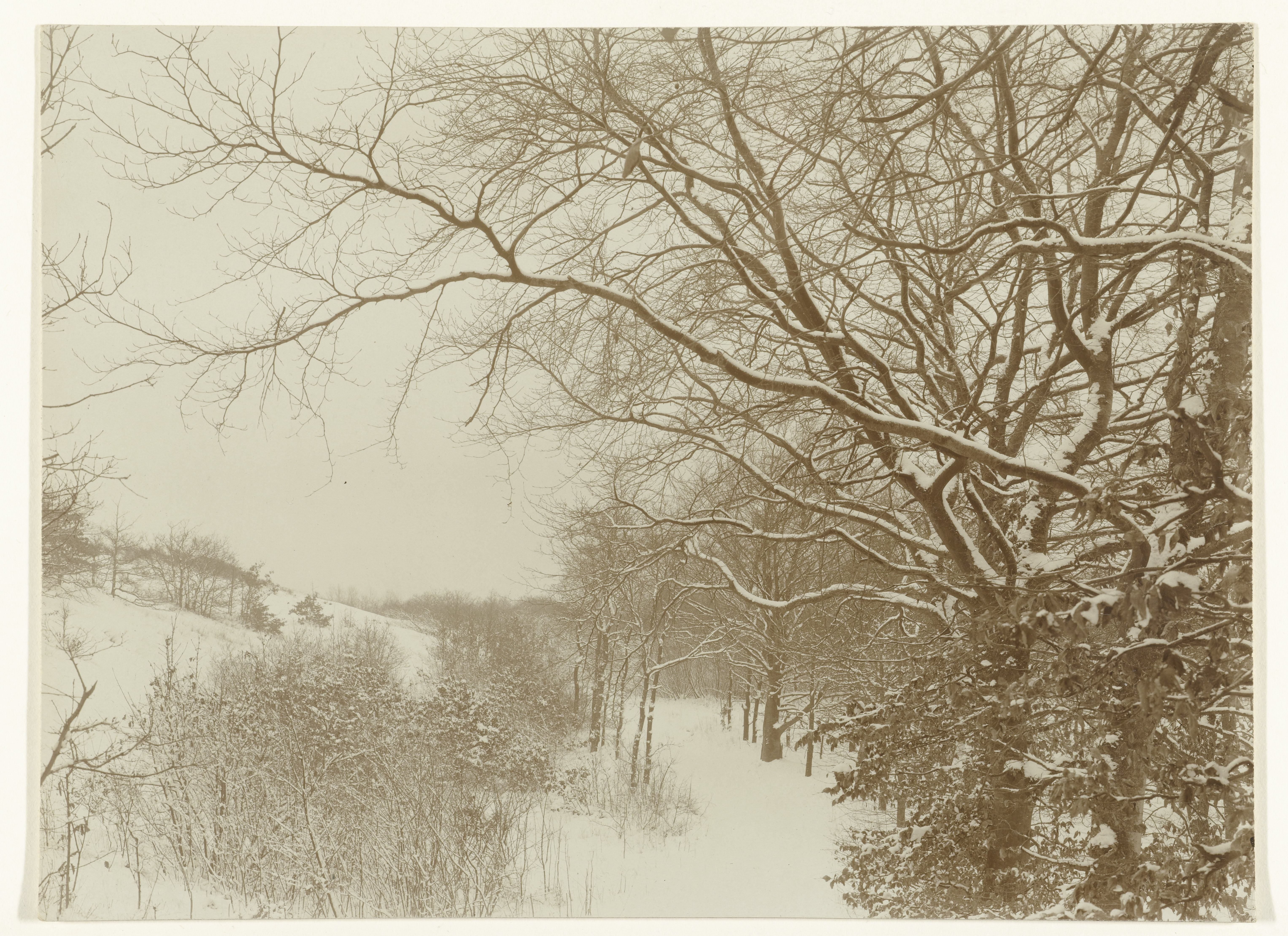Duinlandschap bij Bloemendaal onder de sneeuw