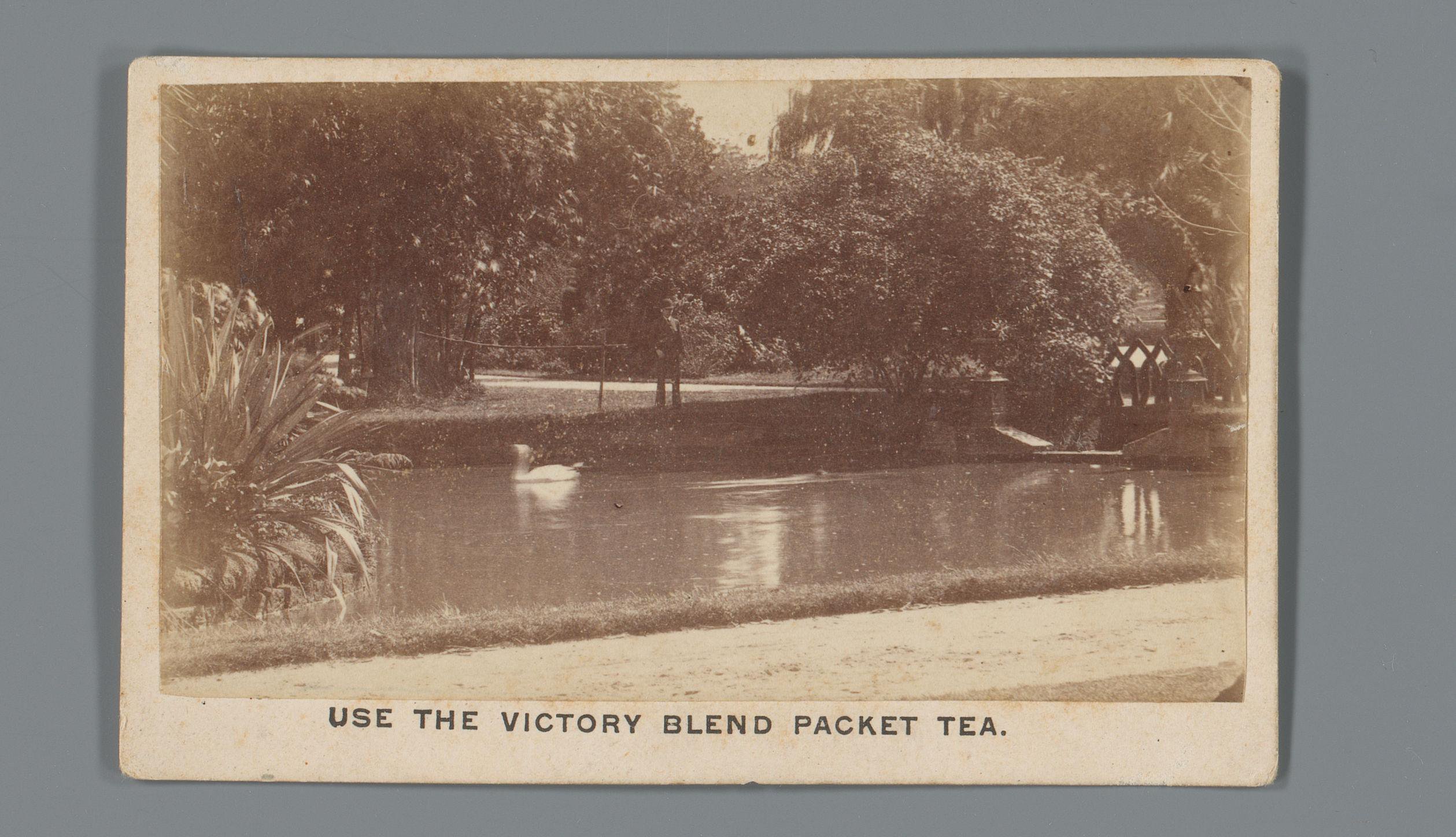 Gezicht op een botanische tuin met water in Sydney als reclame voor thee