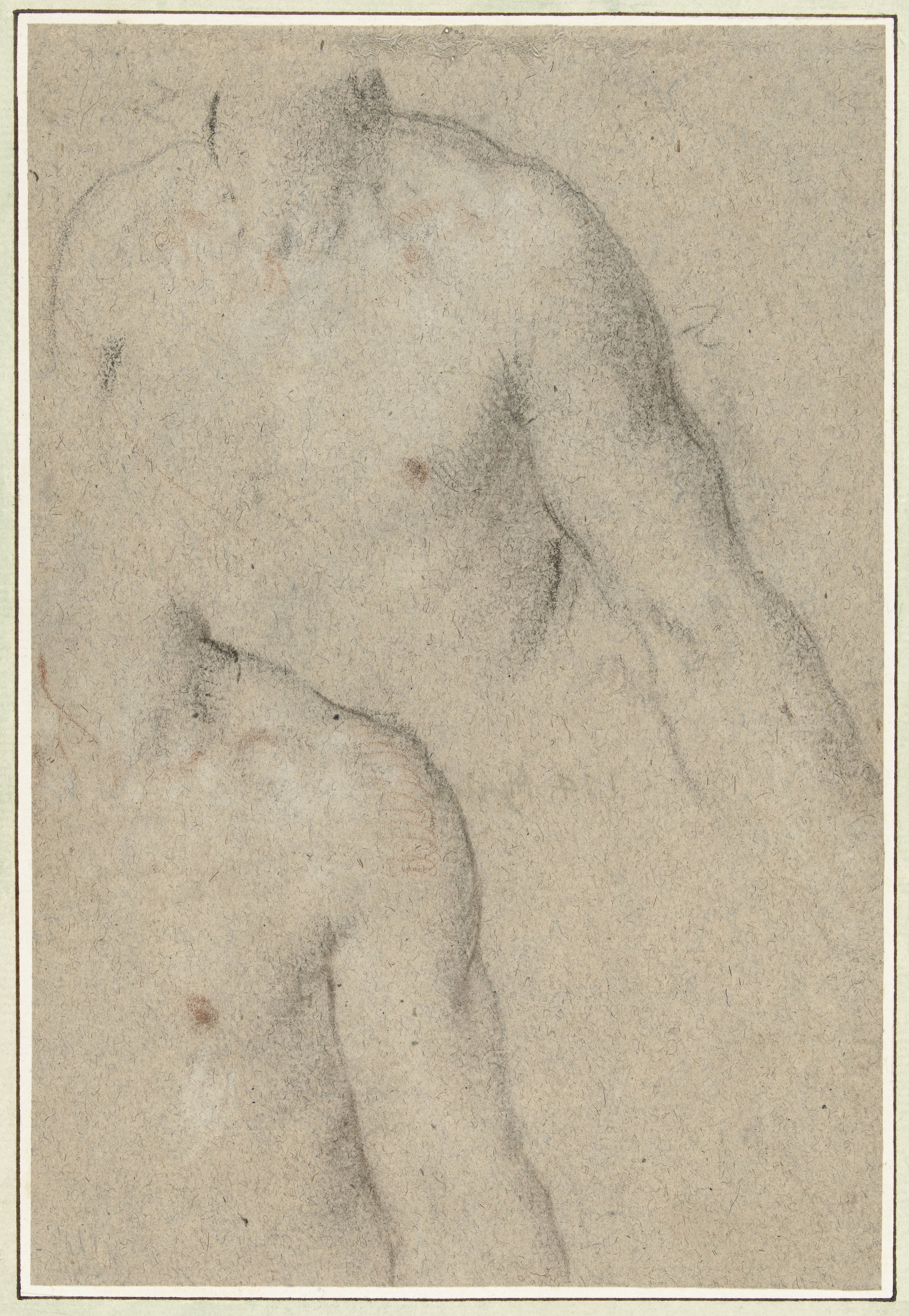 Twee studies van de torso van een jongeman