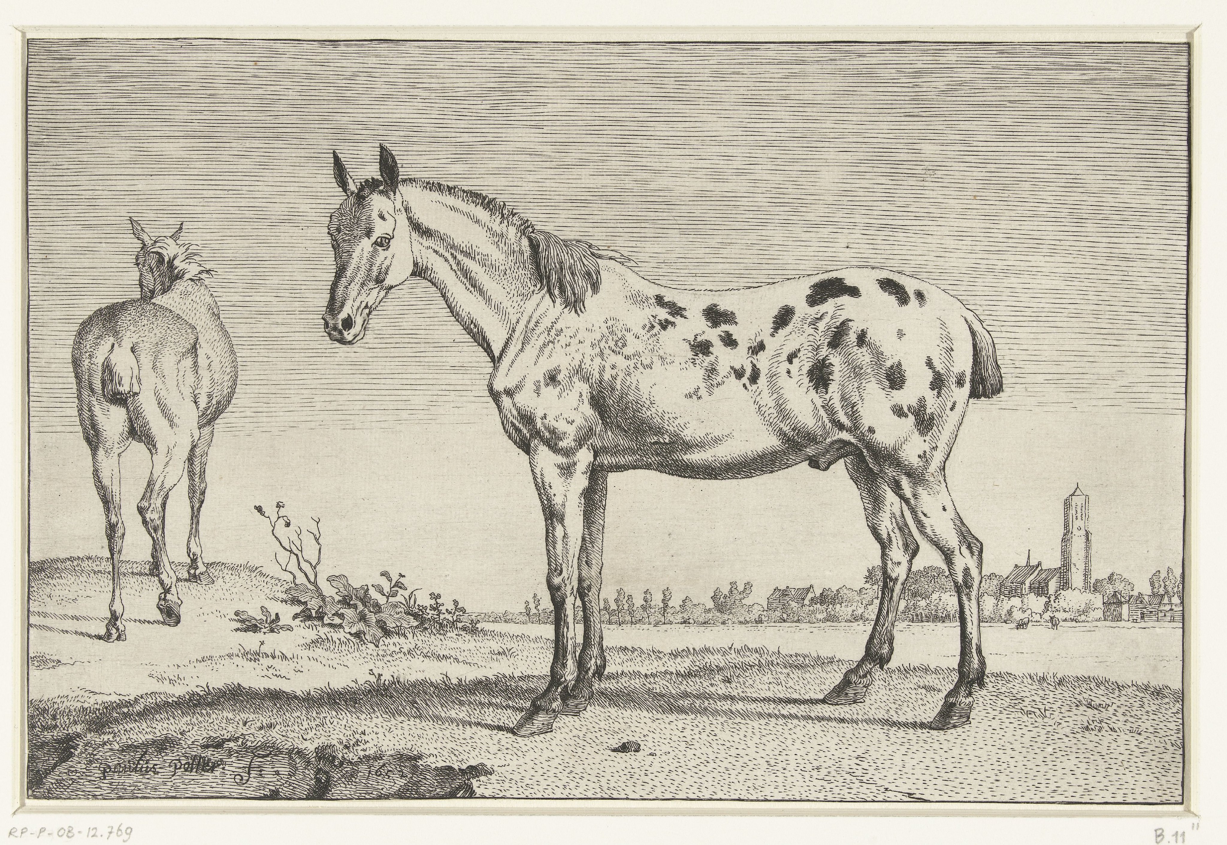 Het gecoupeerde paard
