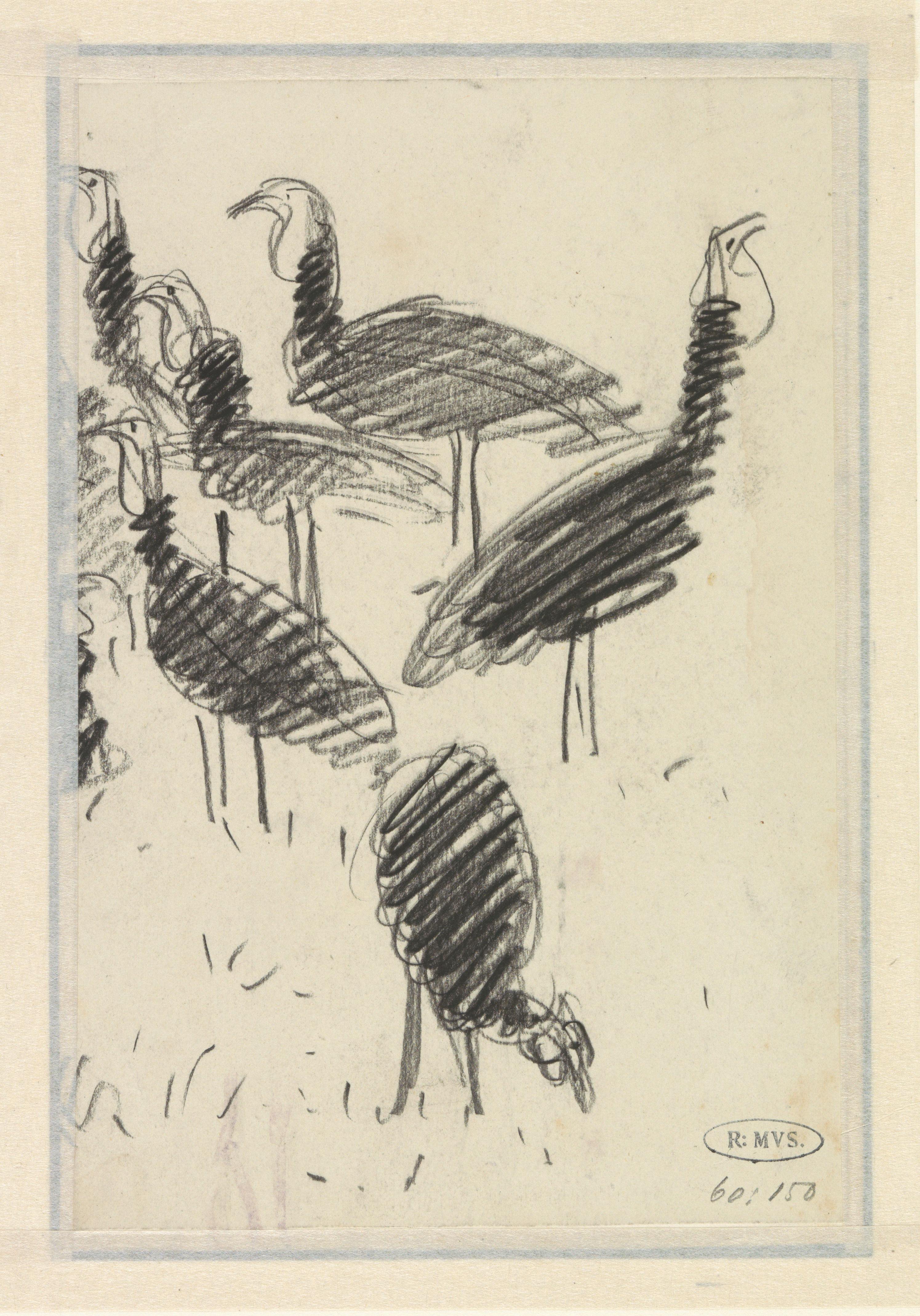 Zes vogels