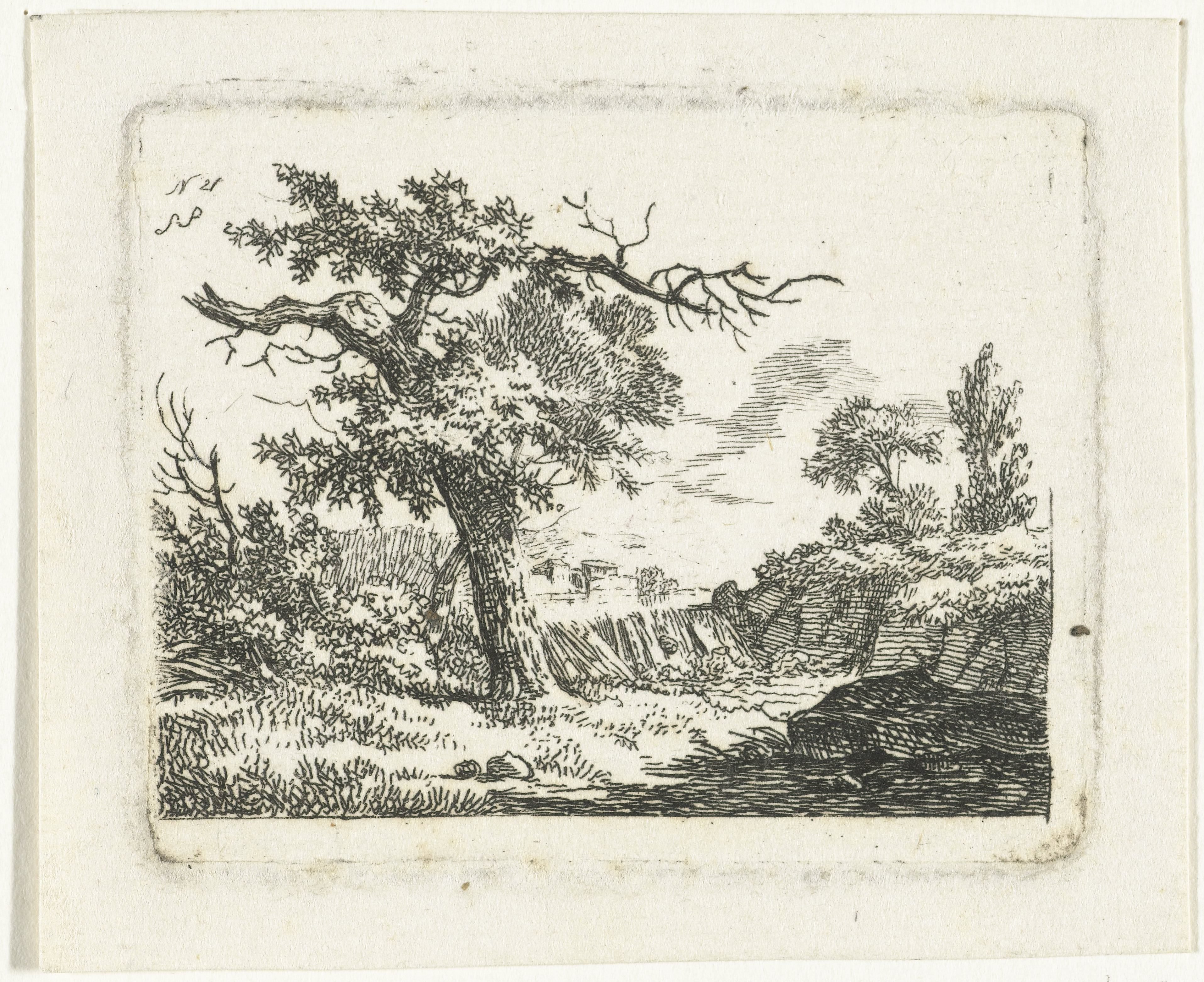 Landschap met boom met twee dode takken