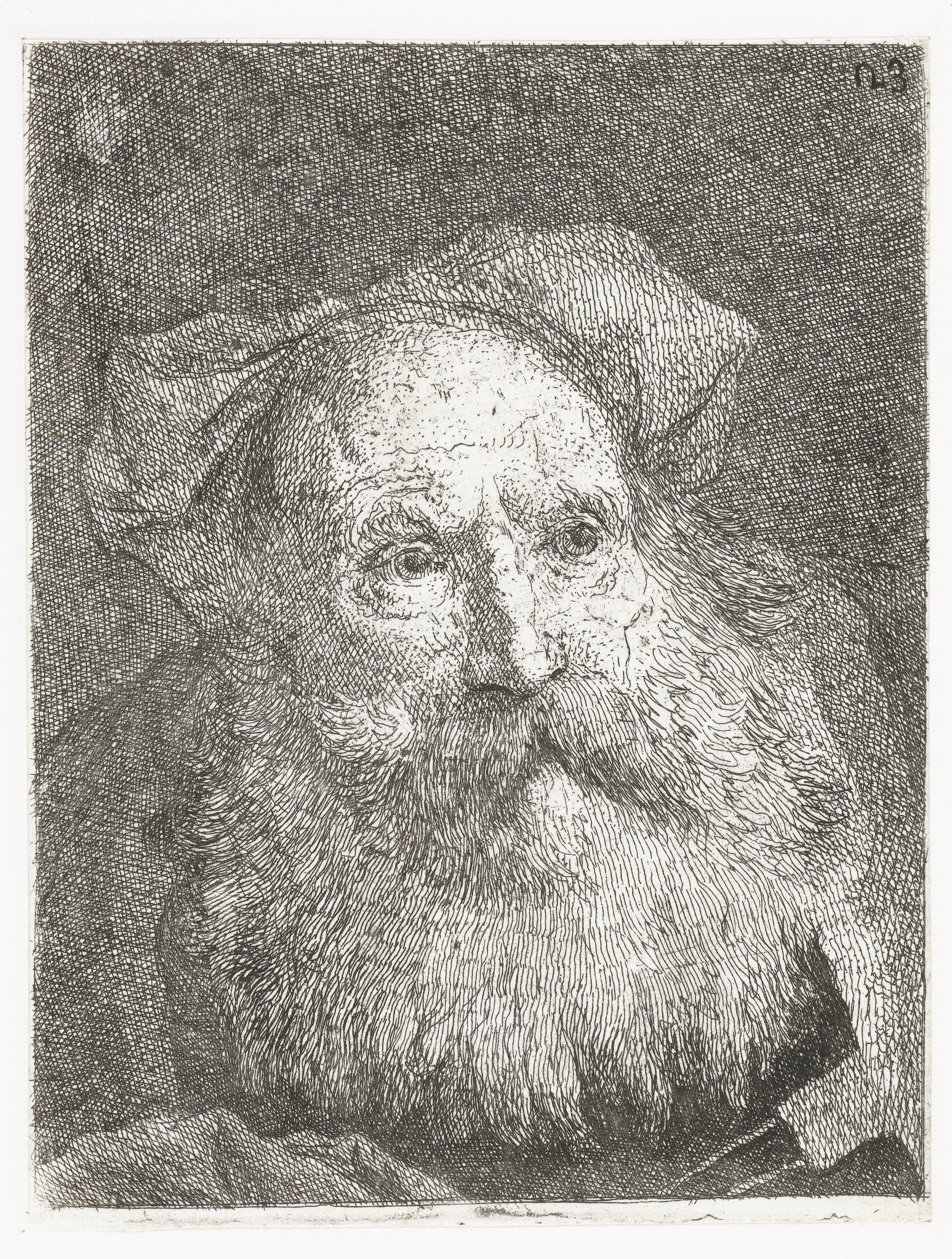 Oude man met baard