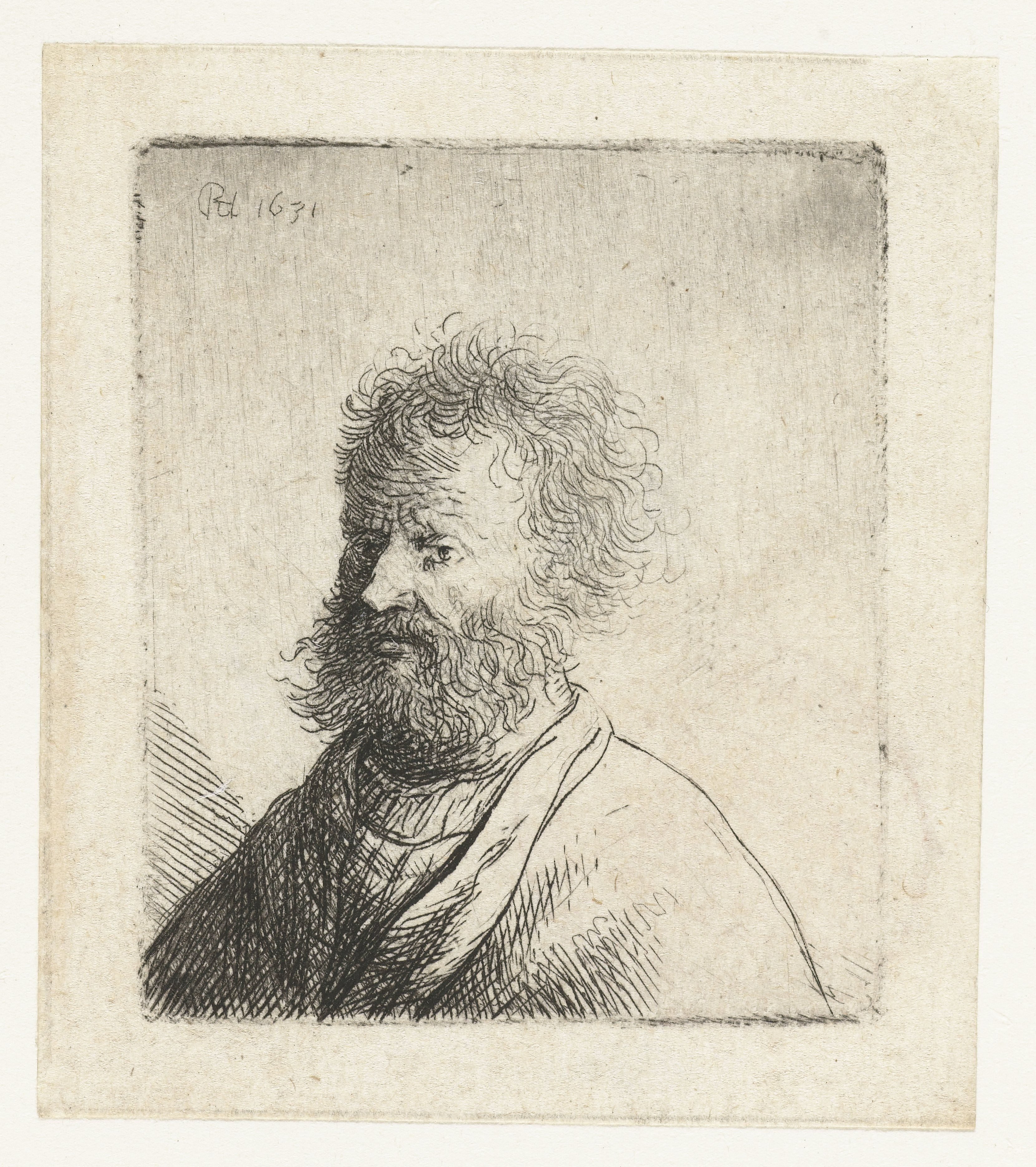 Man with square beard and curly hair: bust