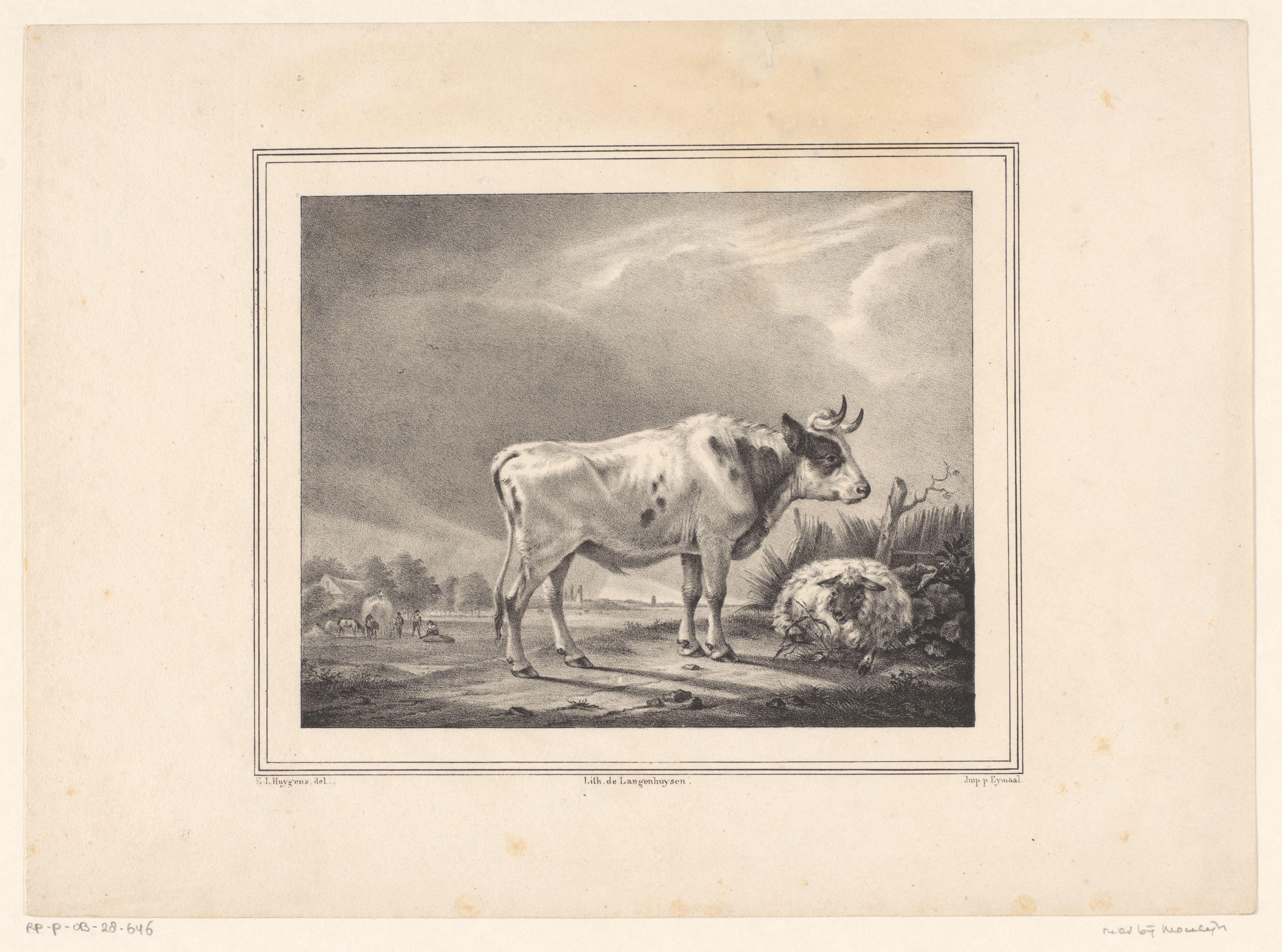 Staande koe en liggend schaap in landschap
