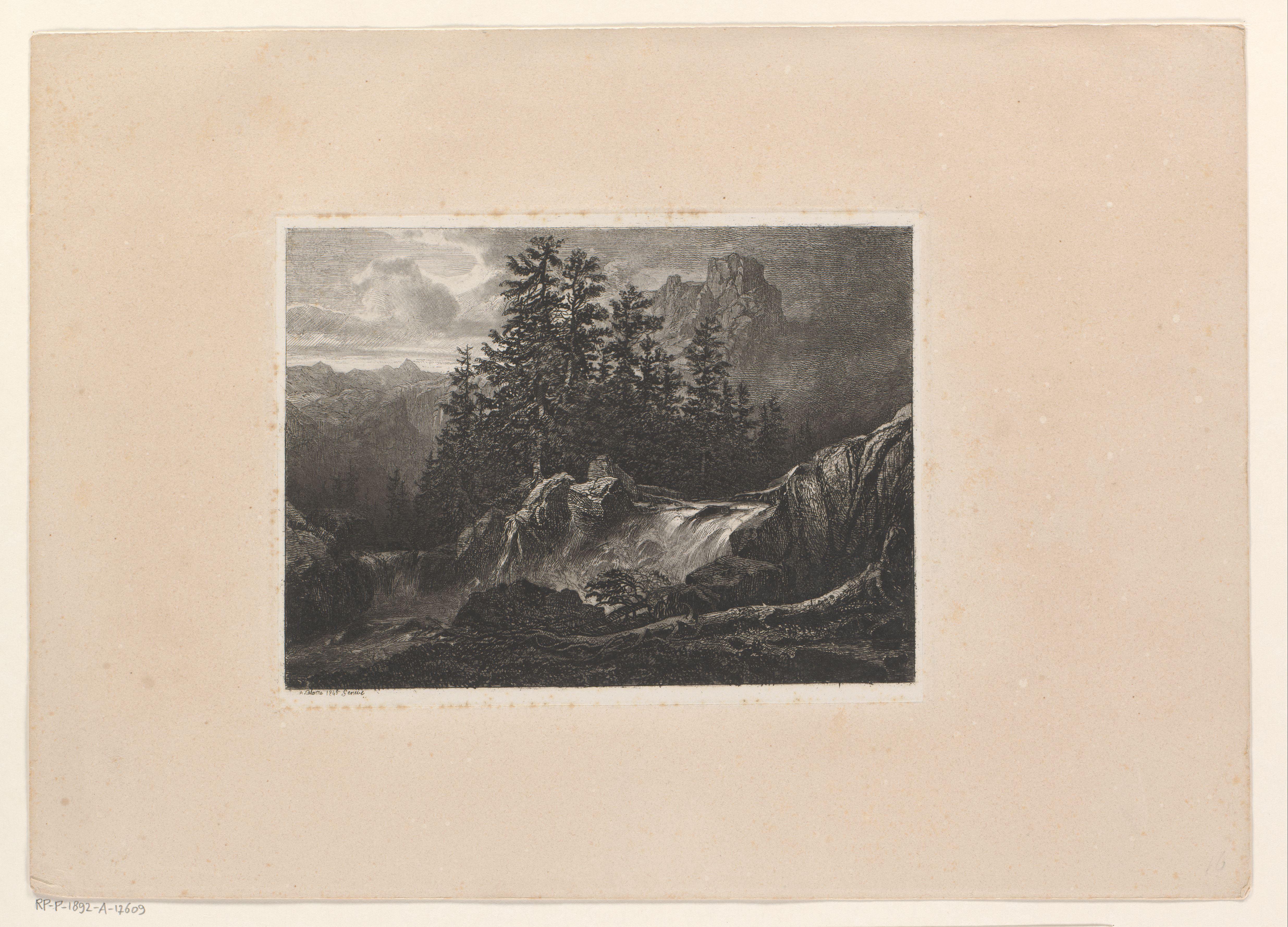 Berglandschap met dennenbomen bij een cascade