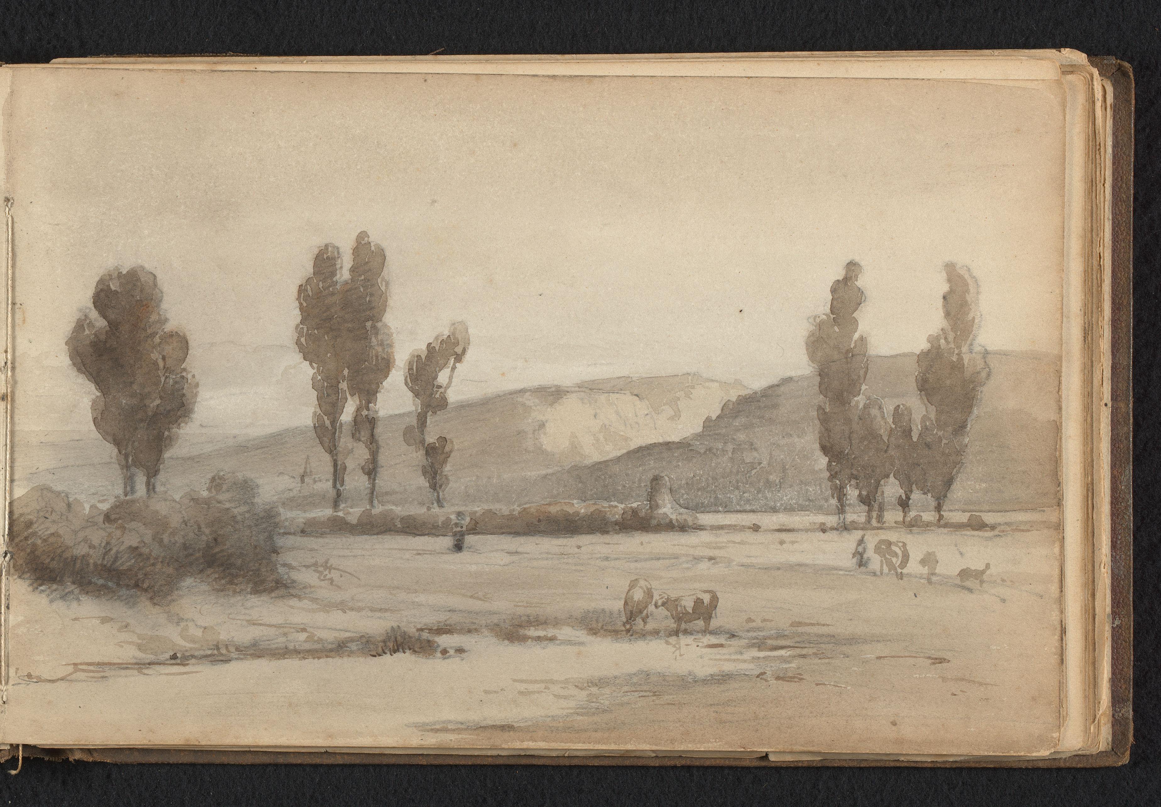 Heuvelig landschap met grazend vee