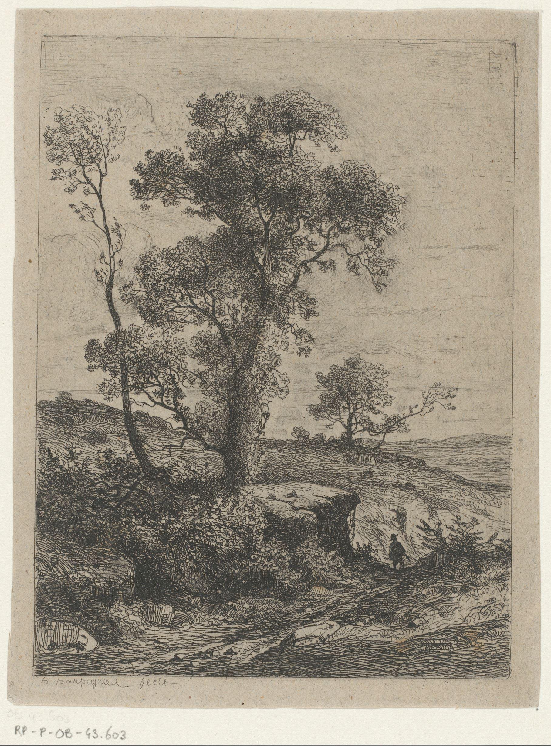 Landschap met bomen op een rots naast een pad