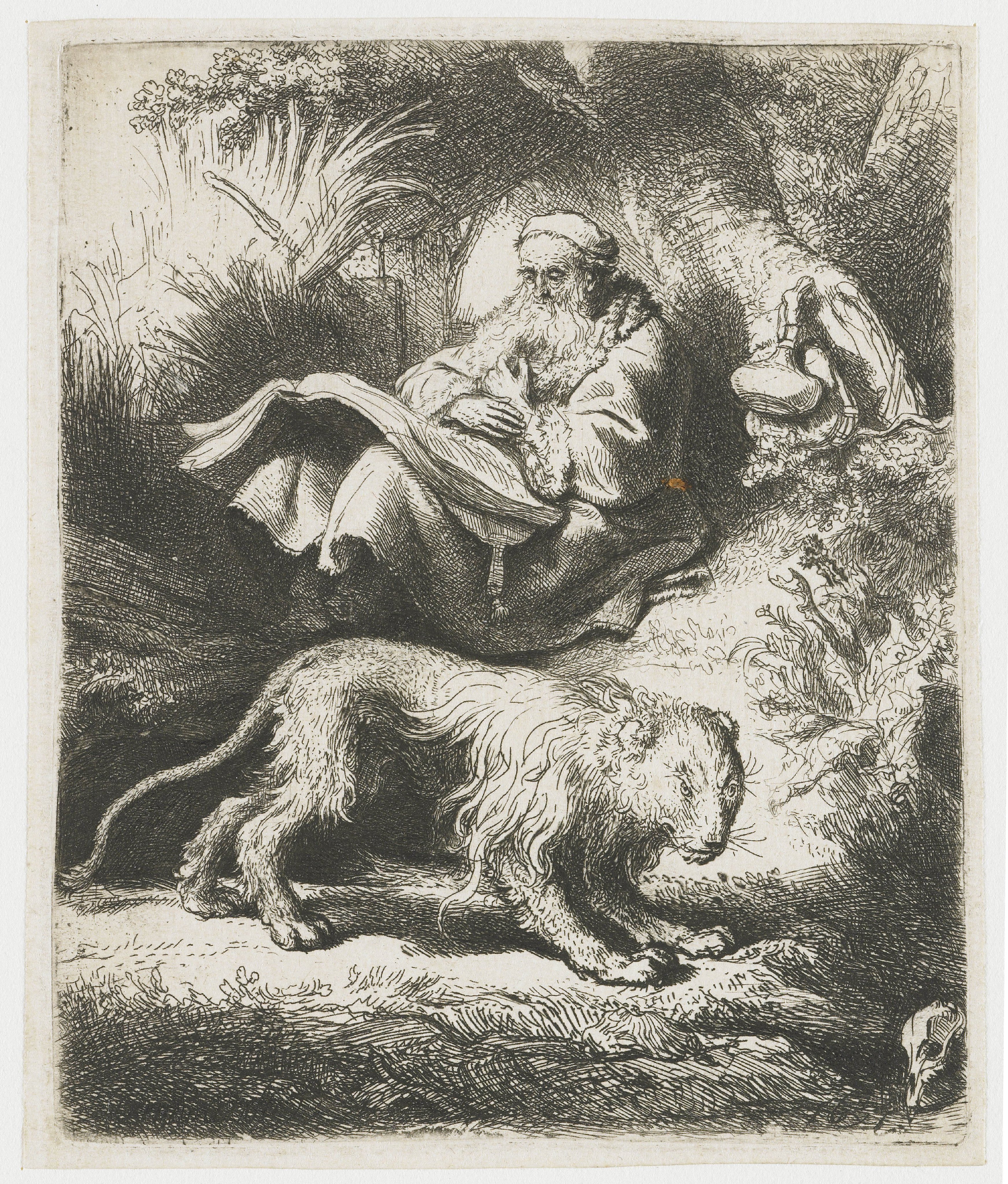 Lezende Hieronymus
