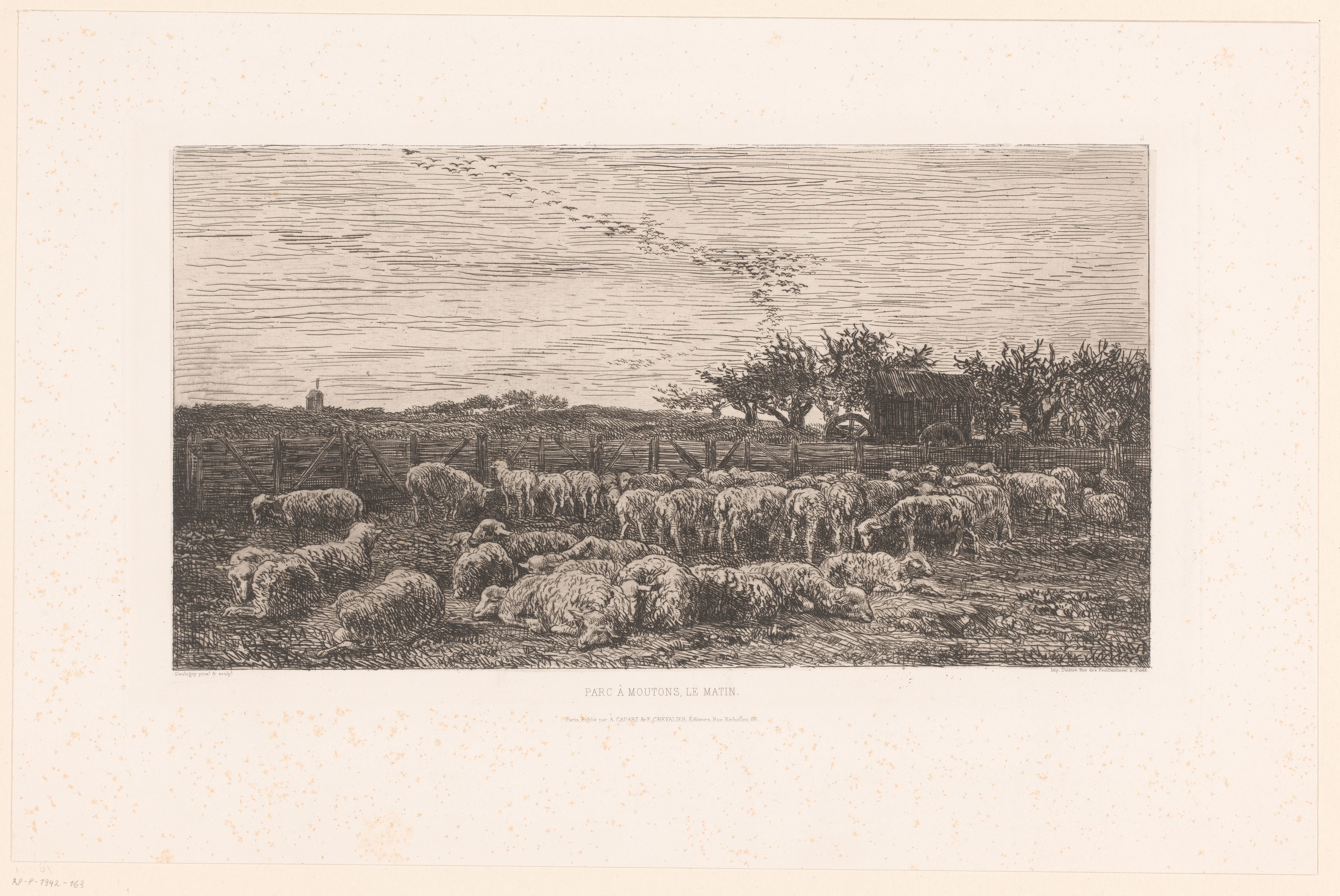 Landschap met kudde schapen