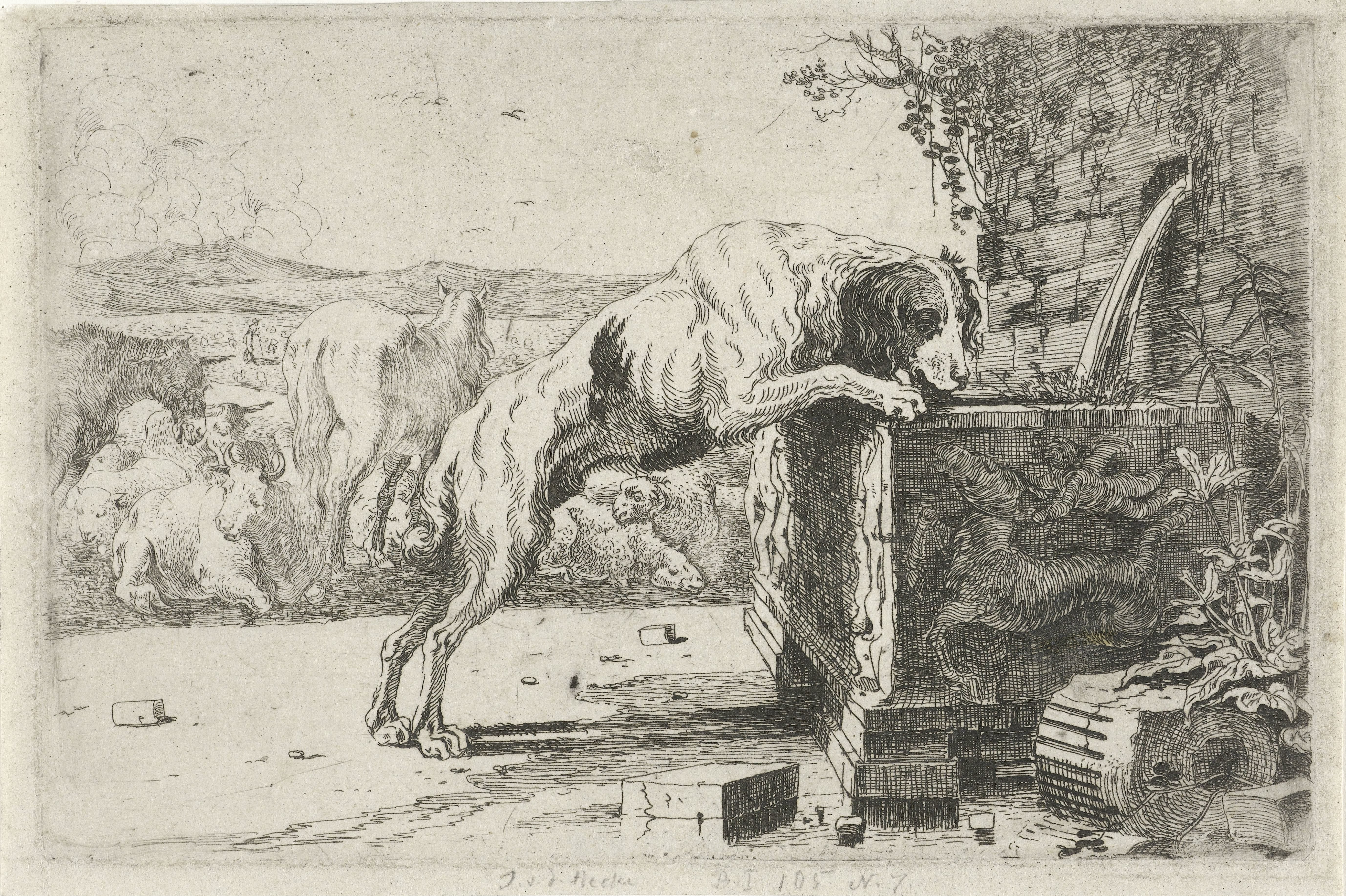 Hond bij een fontein
