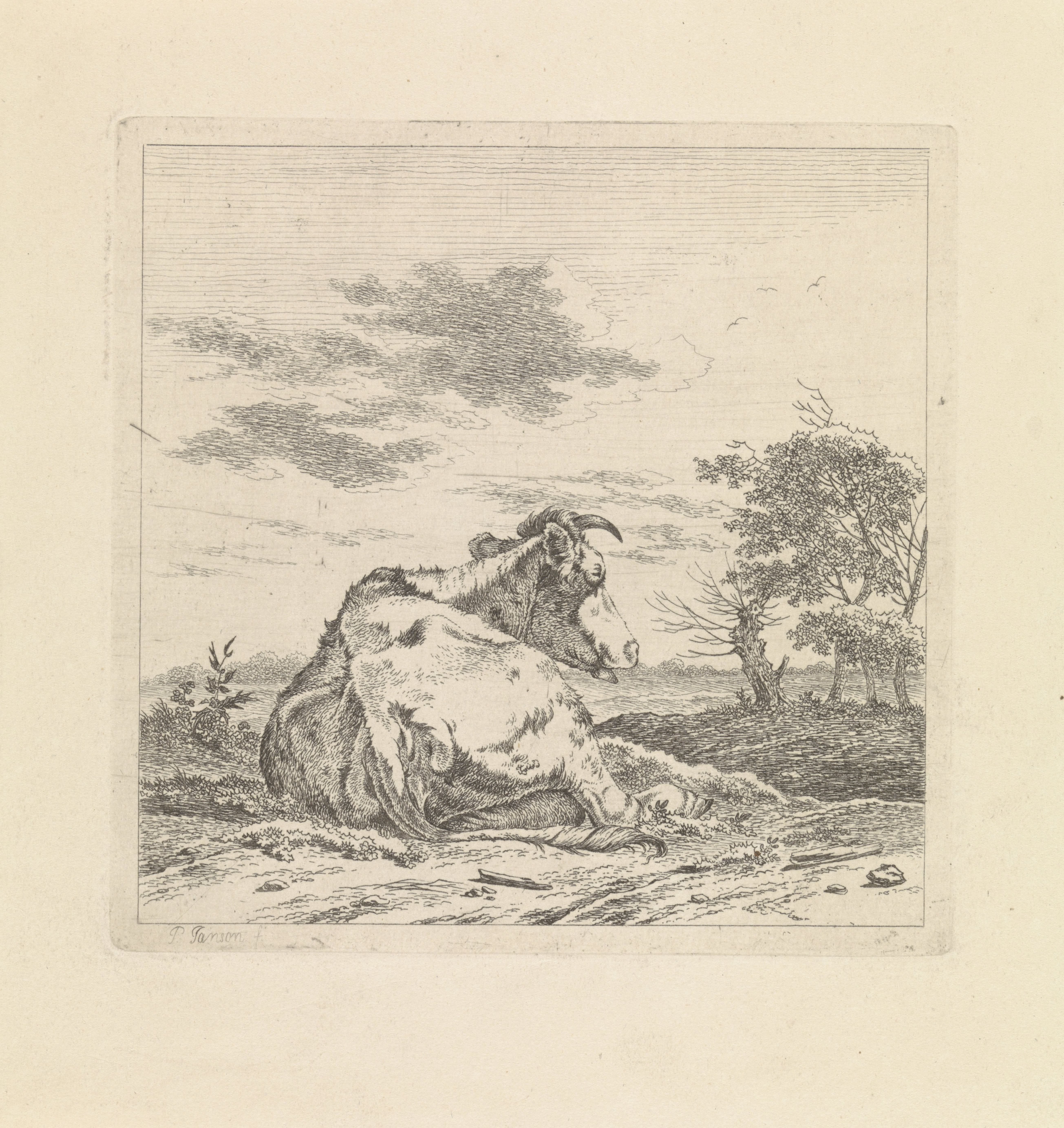 Landschap met liggende koe