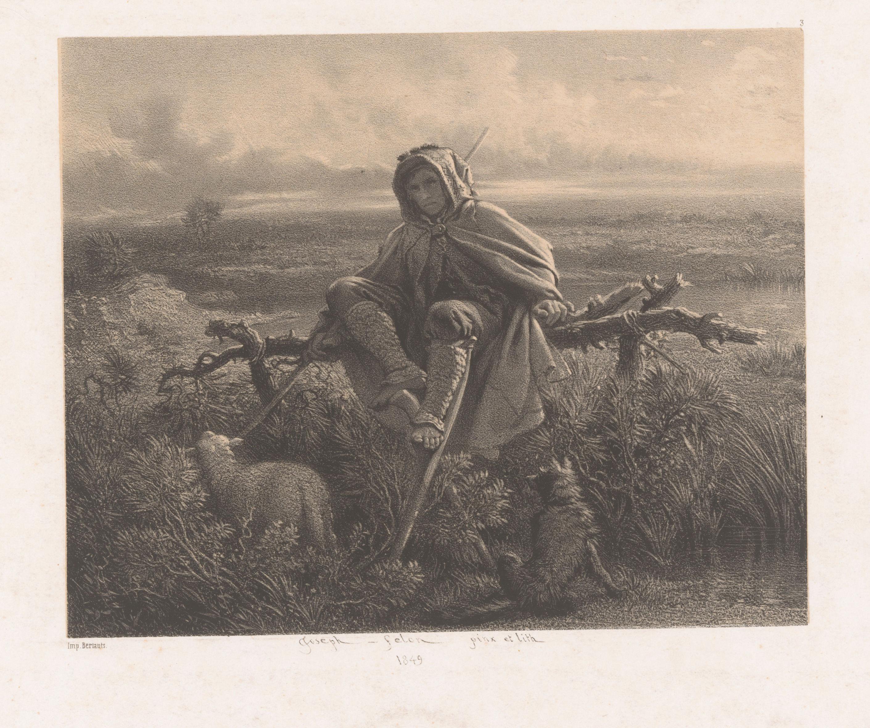 Herder op een hek in een landschap