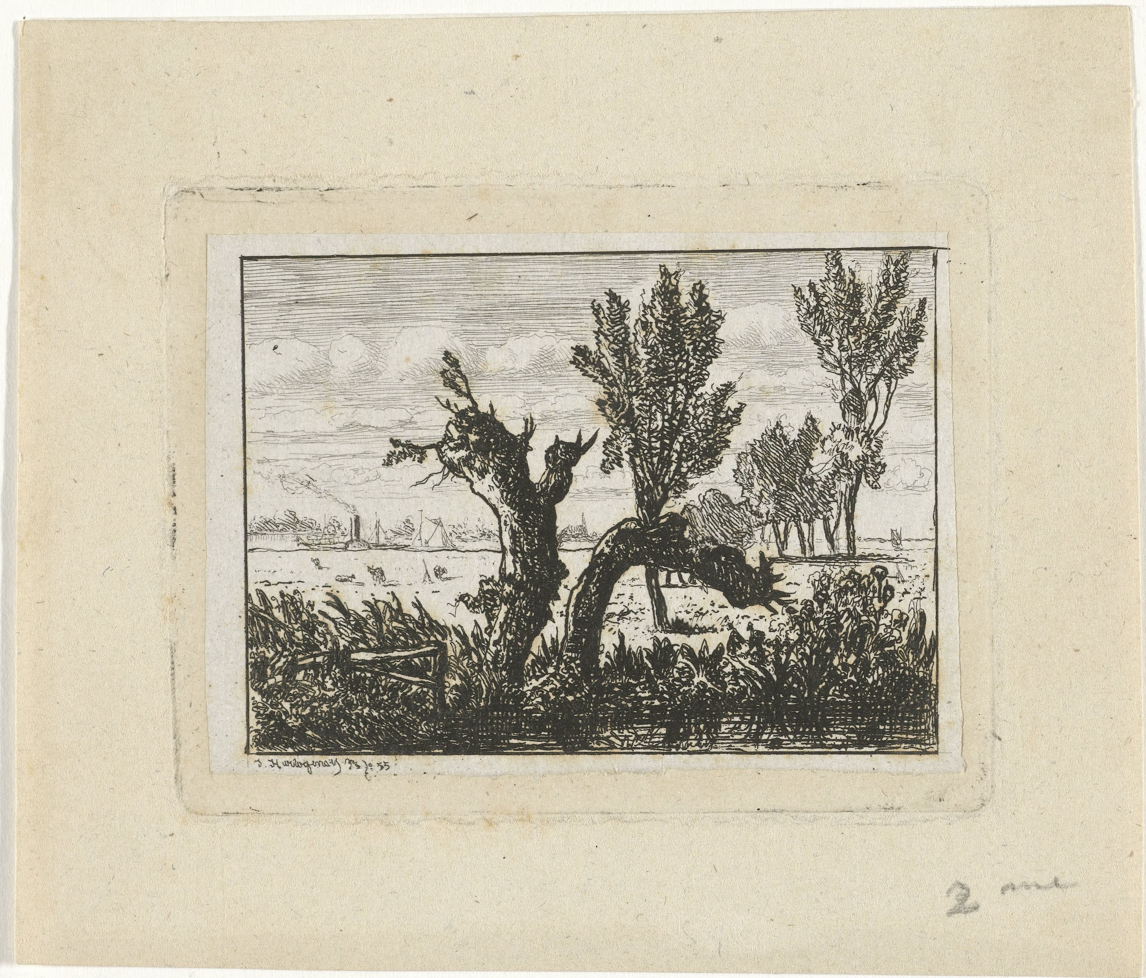 Landschap met knotwilgen