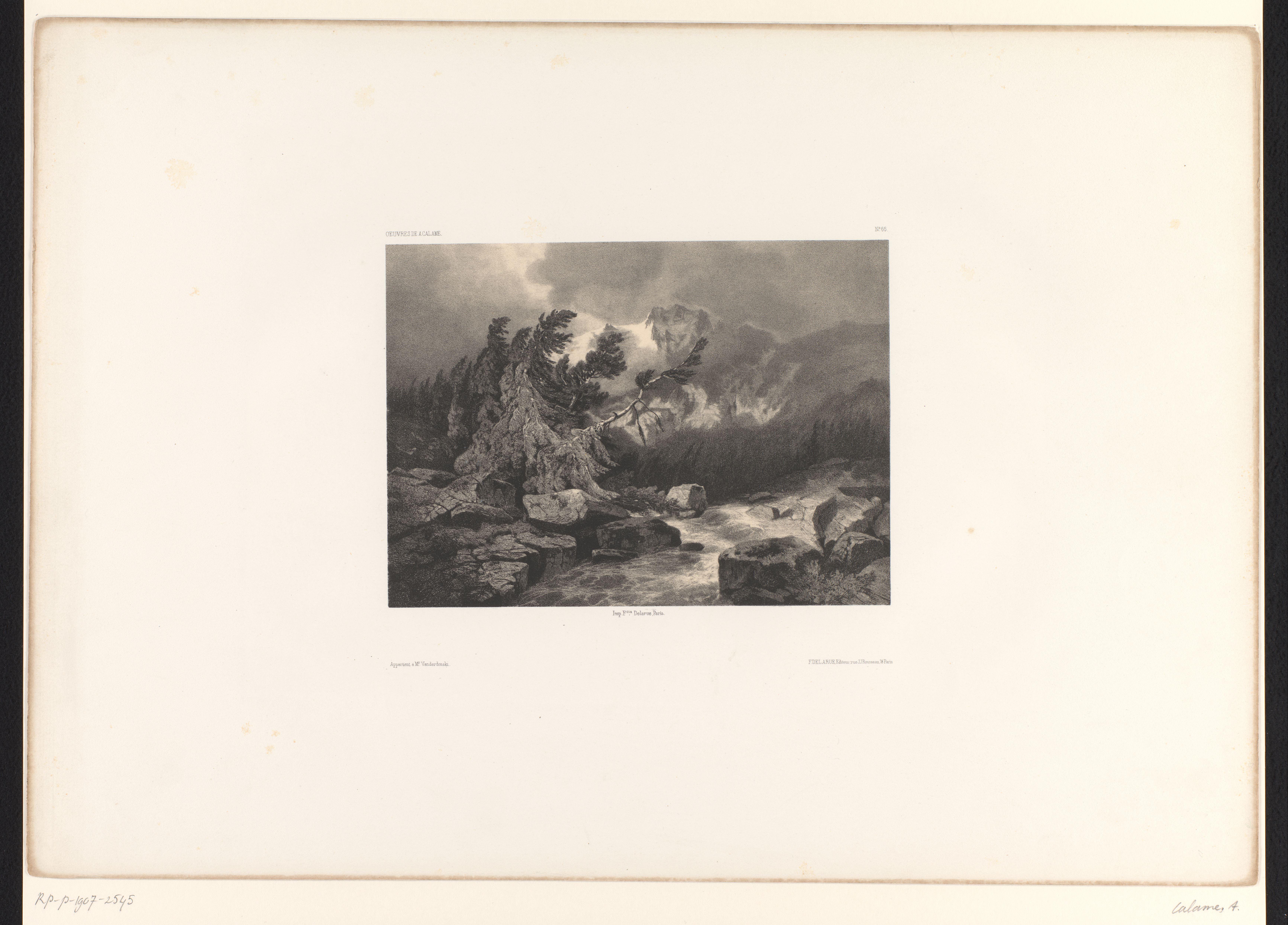 Berglandschap met bomen, rotsen en een beek