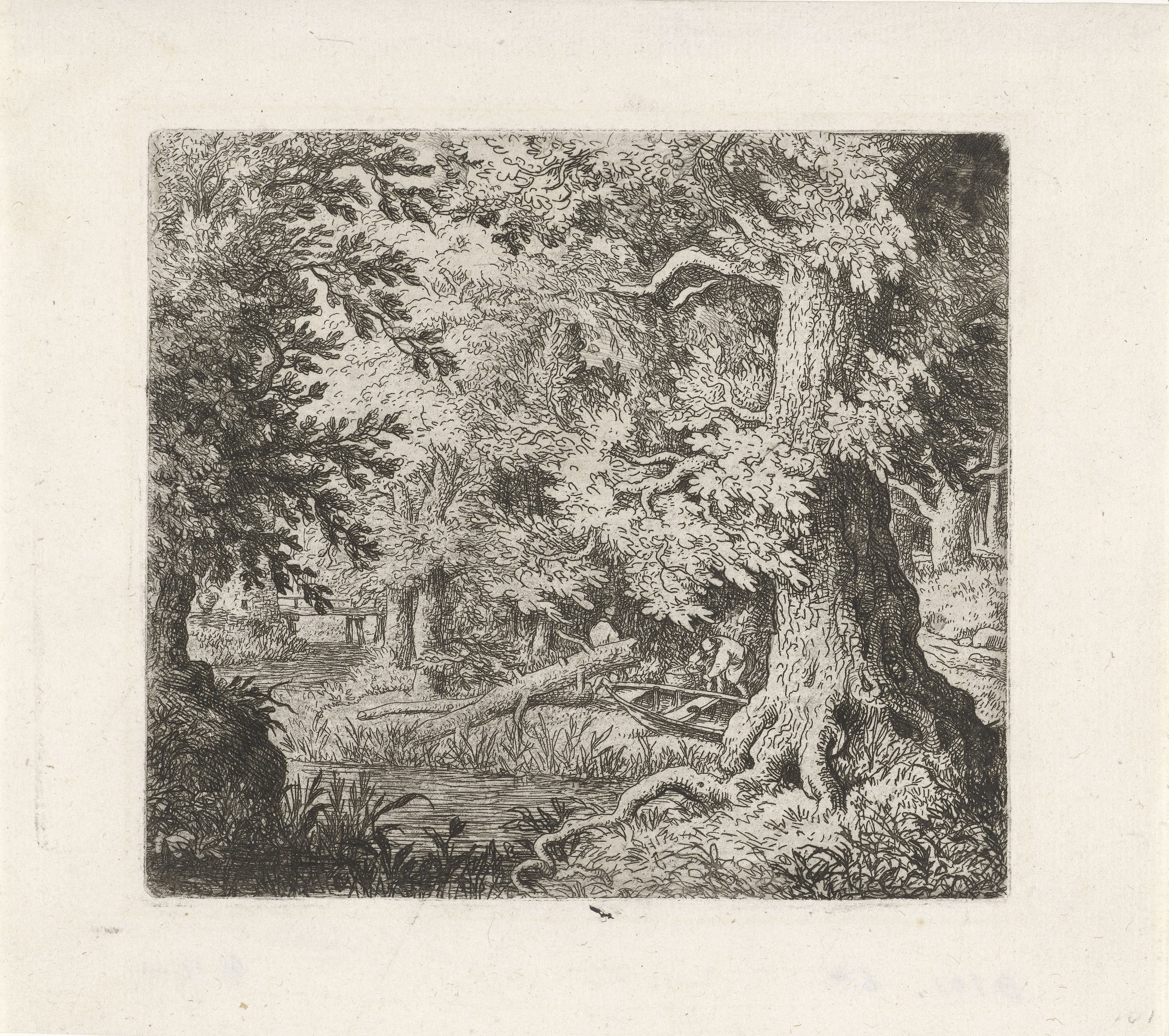 Beekje in het bos