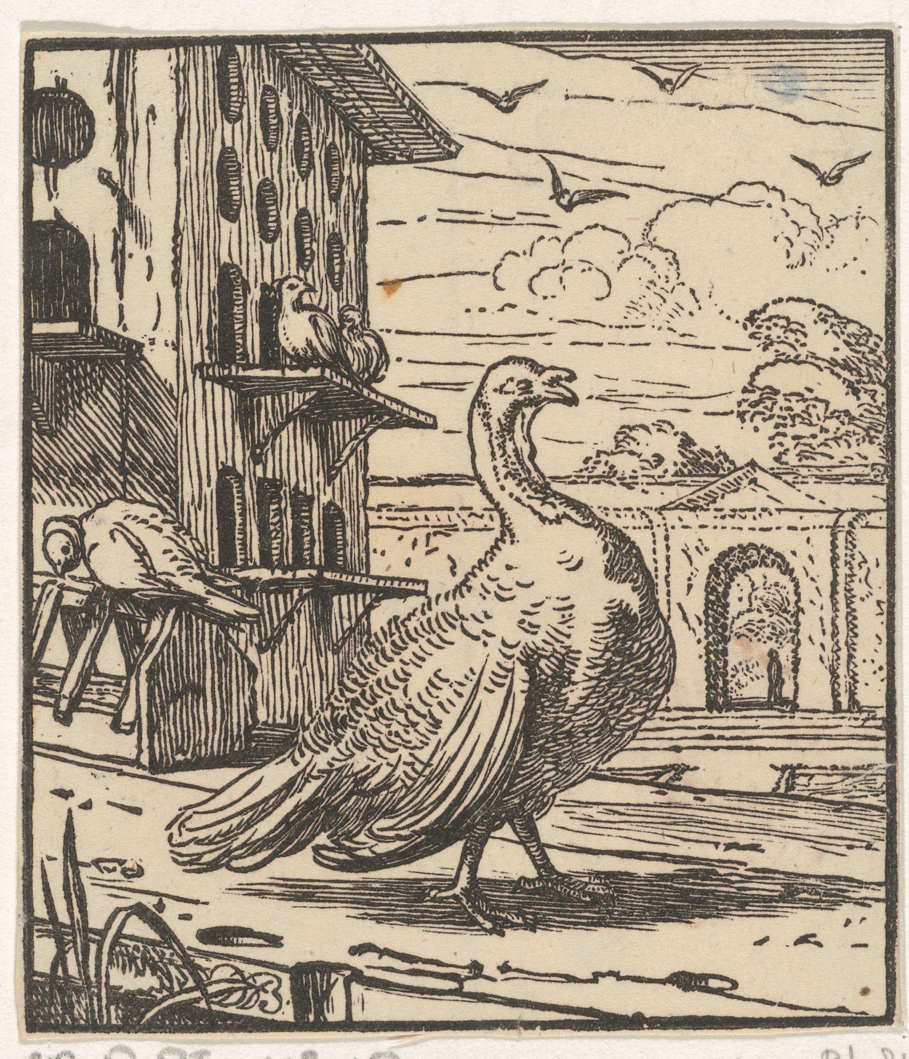 Kalkoen