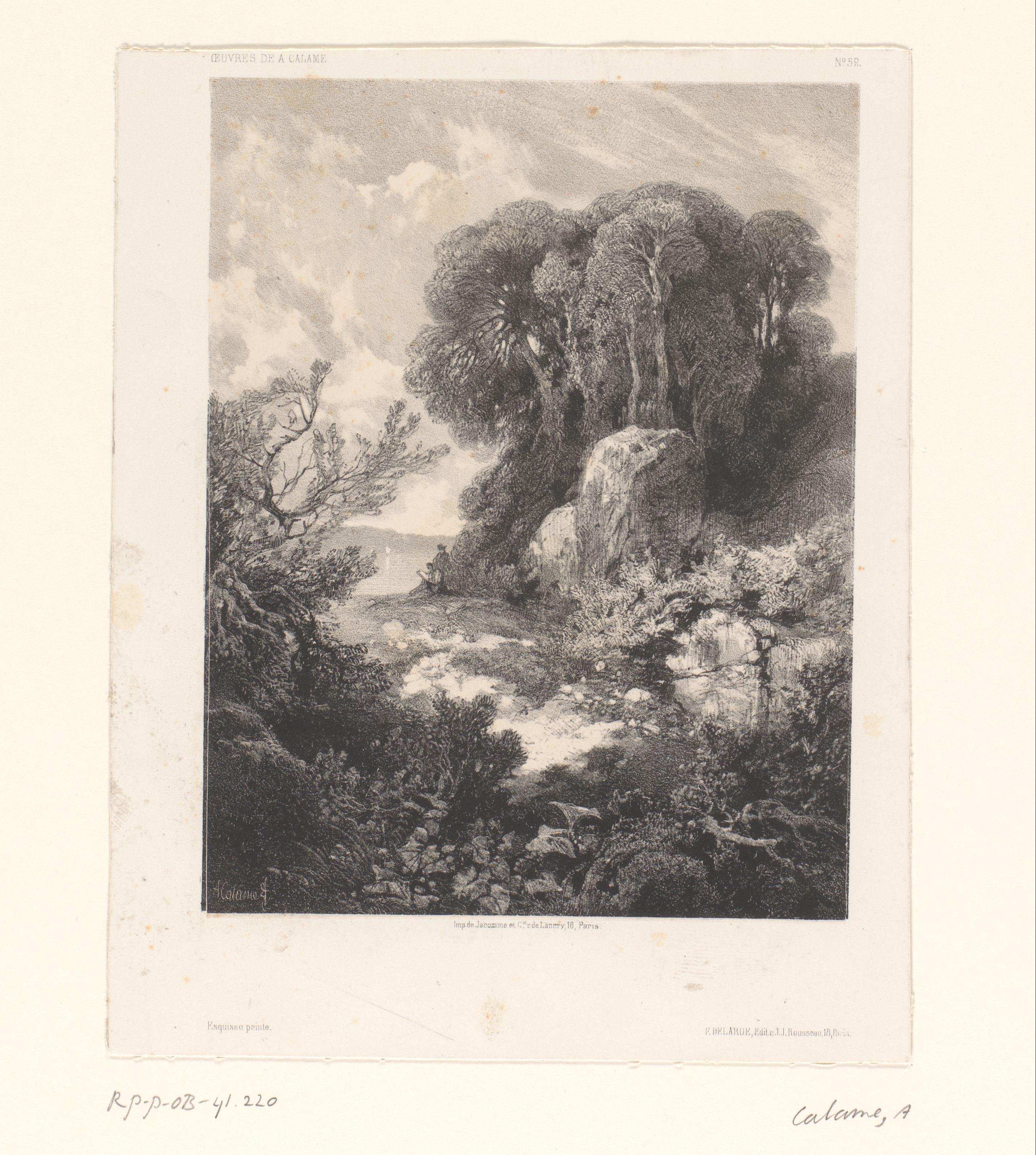 Berglandschap met bomen en rotsen