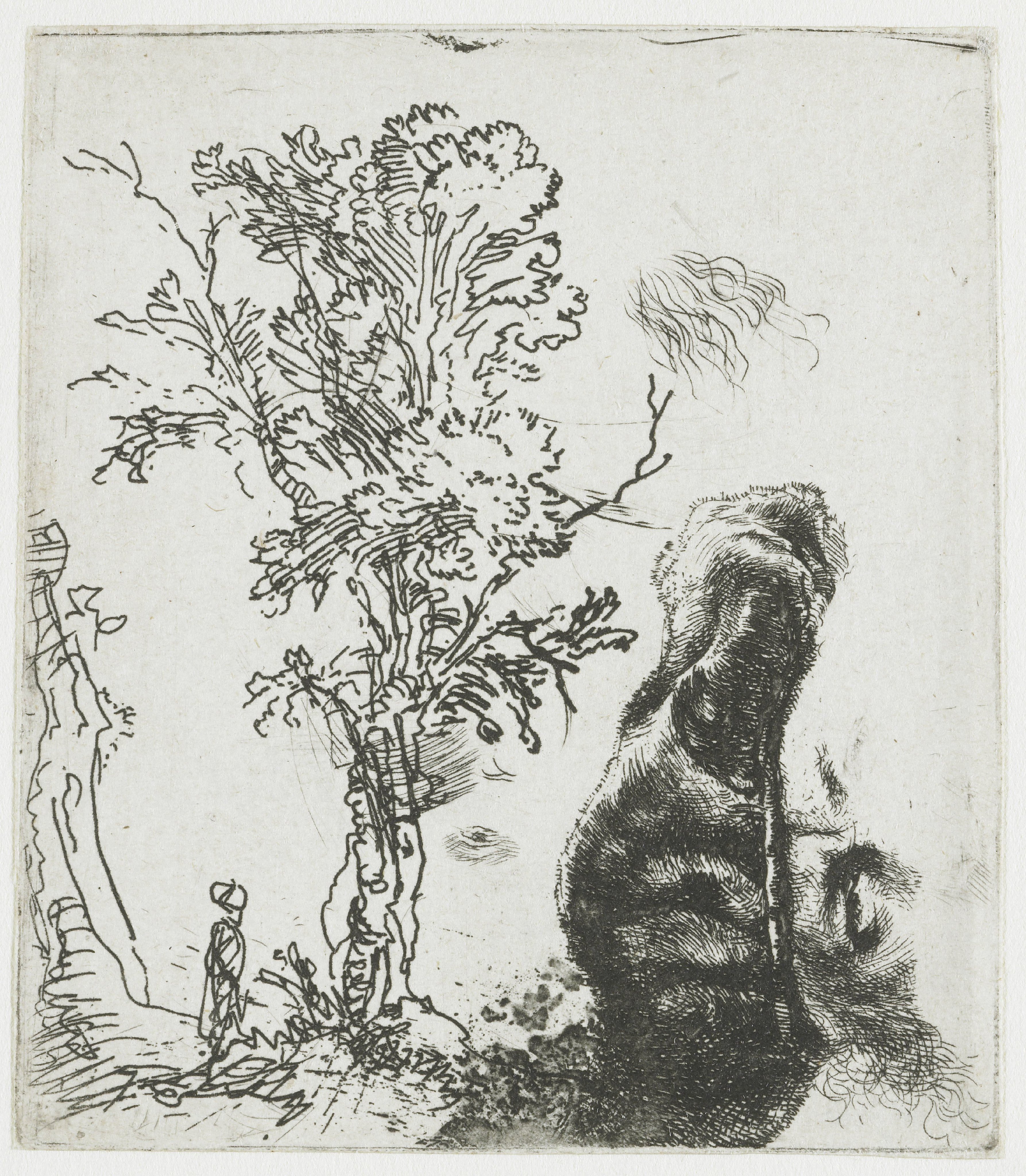 Sheet of Studies with a Tree and the Upper Part of Rembrandt’s Head in a Velvet Cap