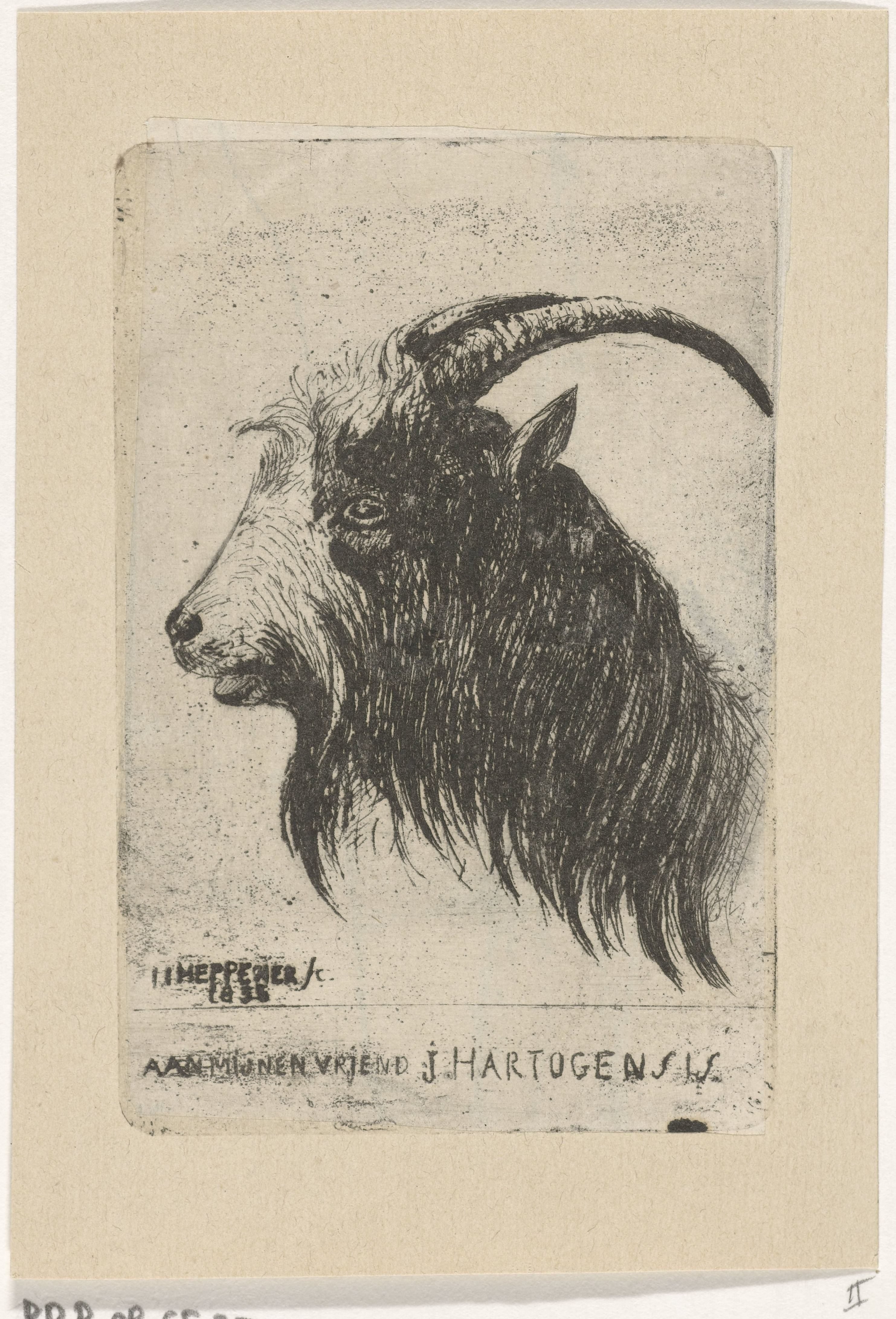 Bok