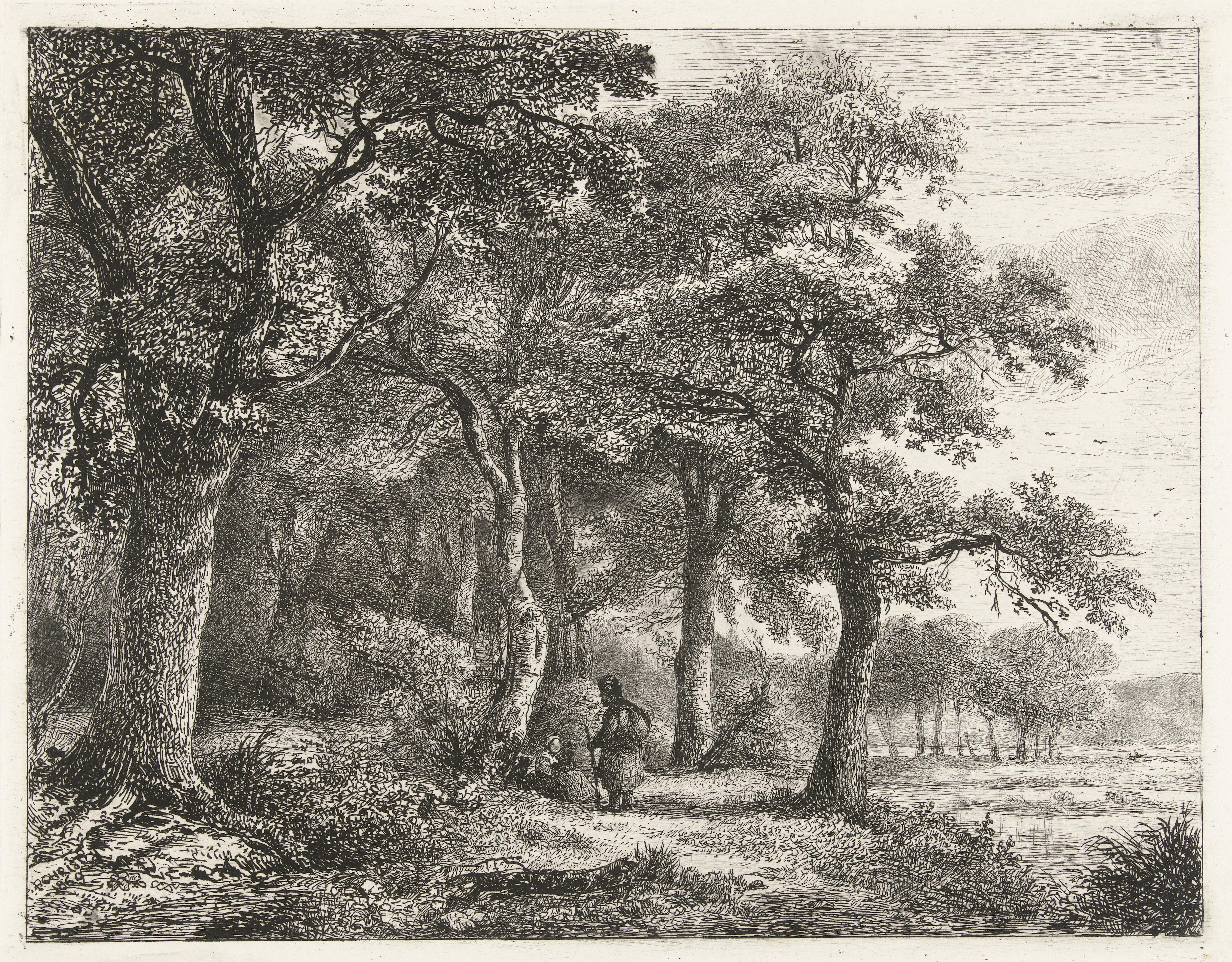 Boslandschap met man met rugzak