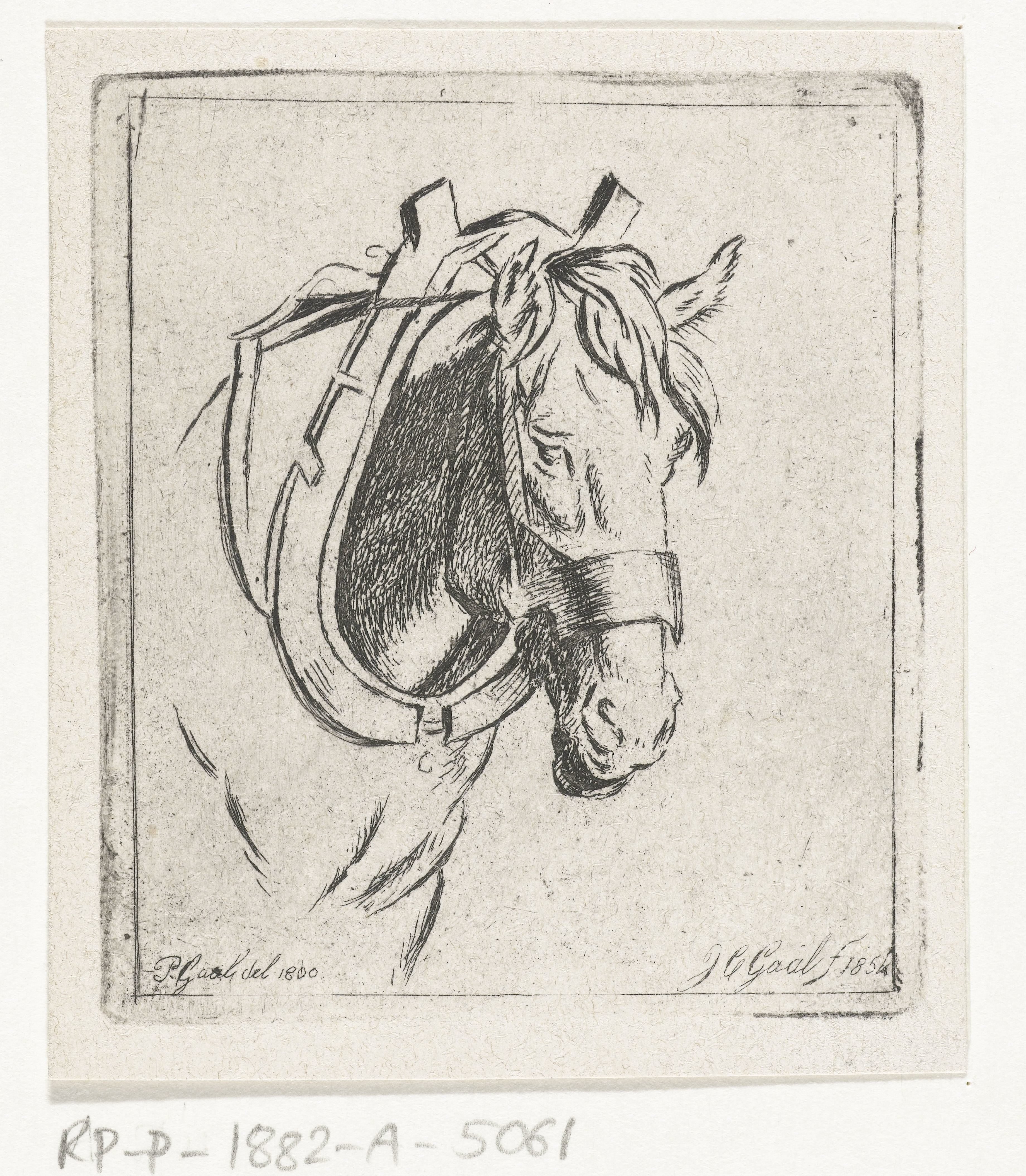 Hoofd van een paard met juk