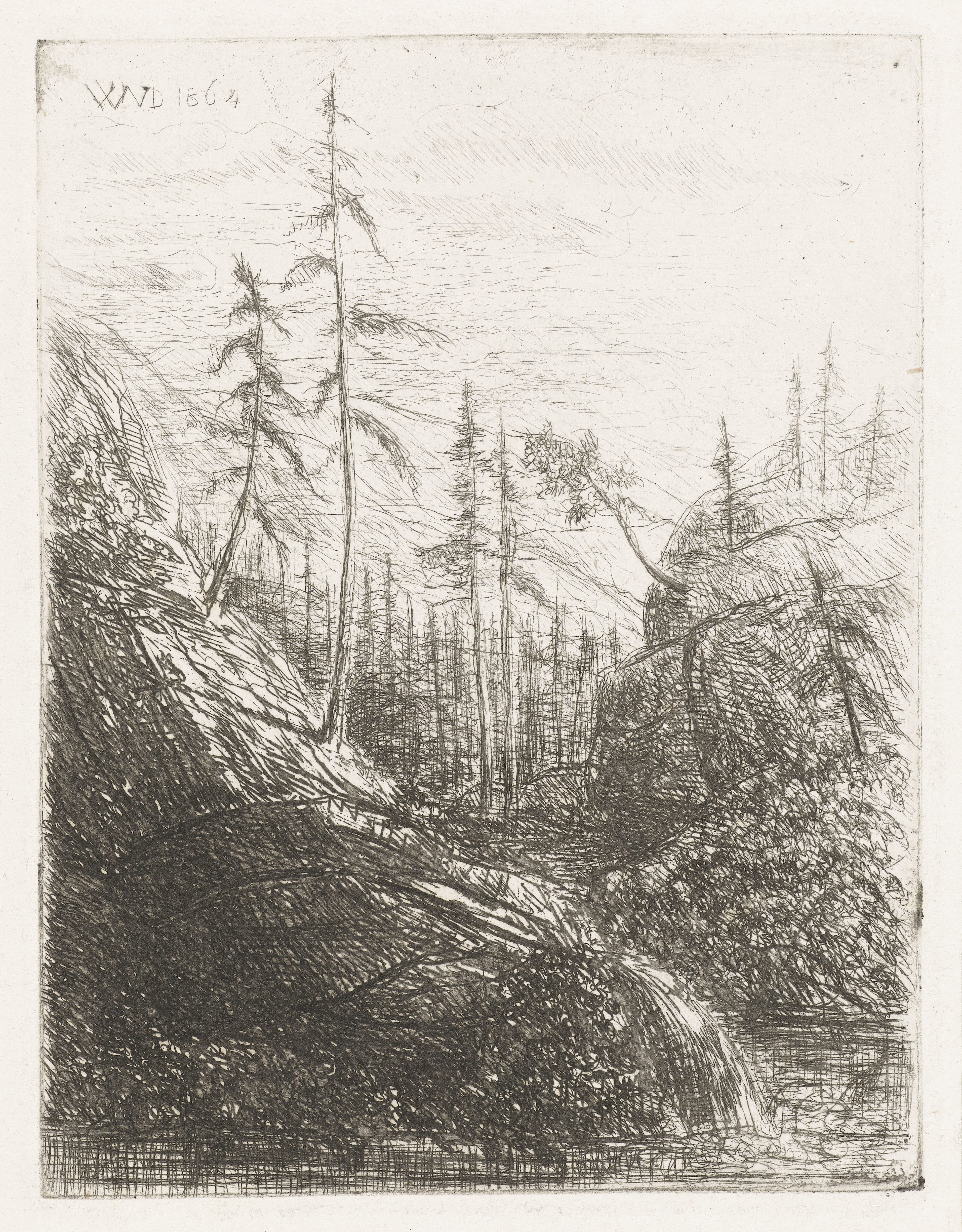 Berglandschap met naaldbomen en beek