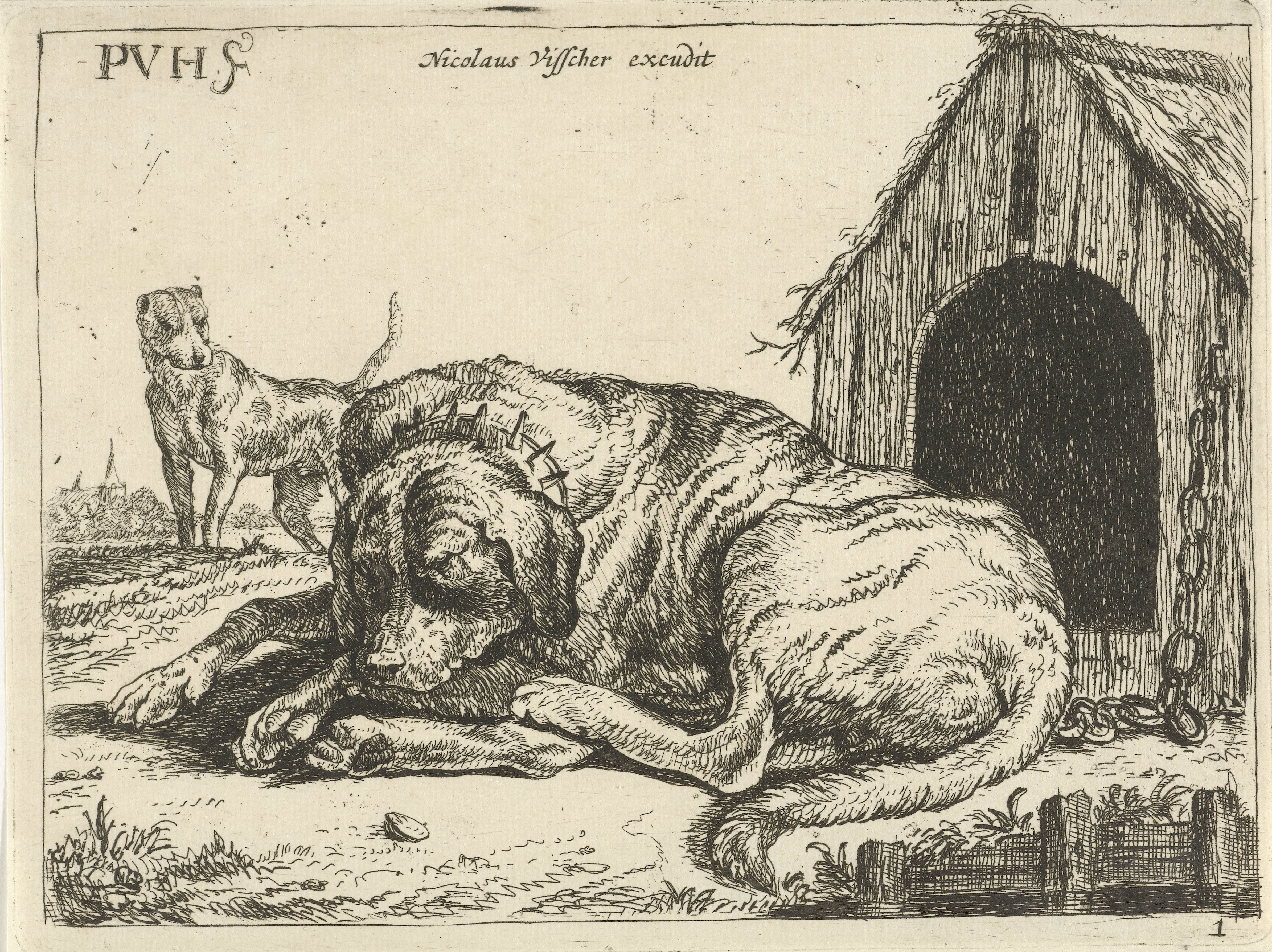 Liggende hond aan een ketting