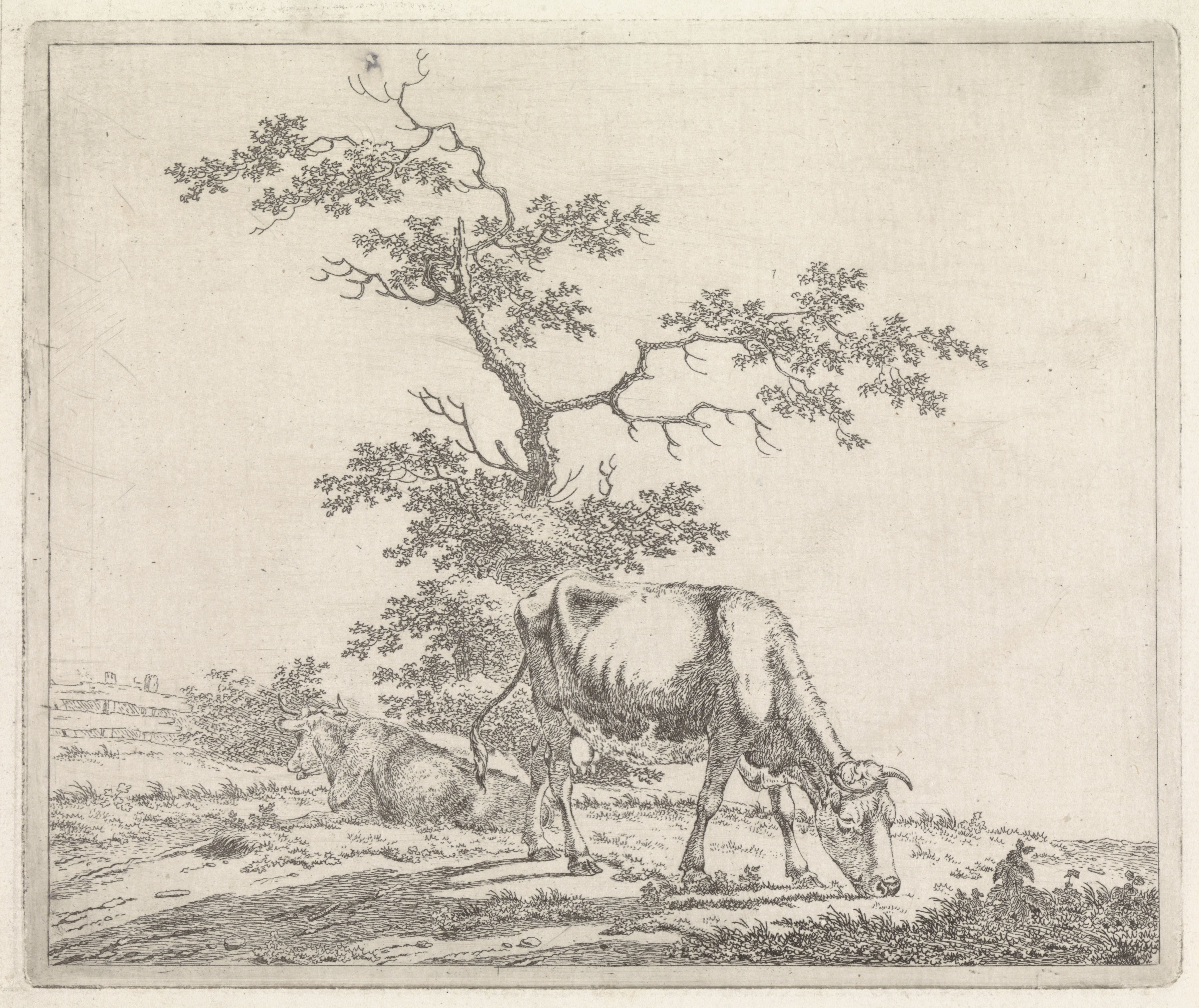 Landschap met grazende koe