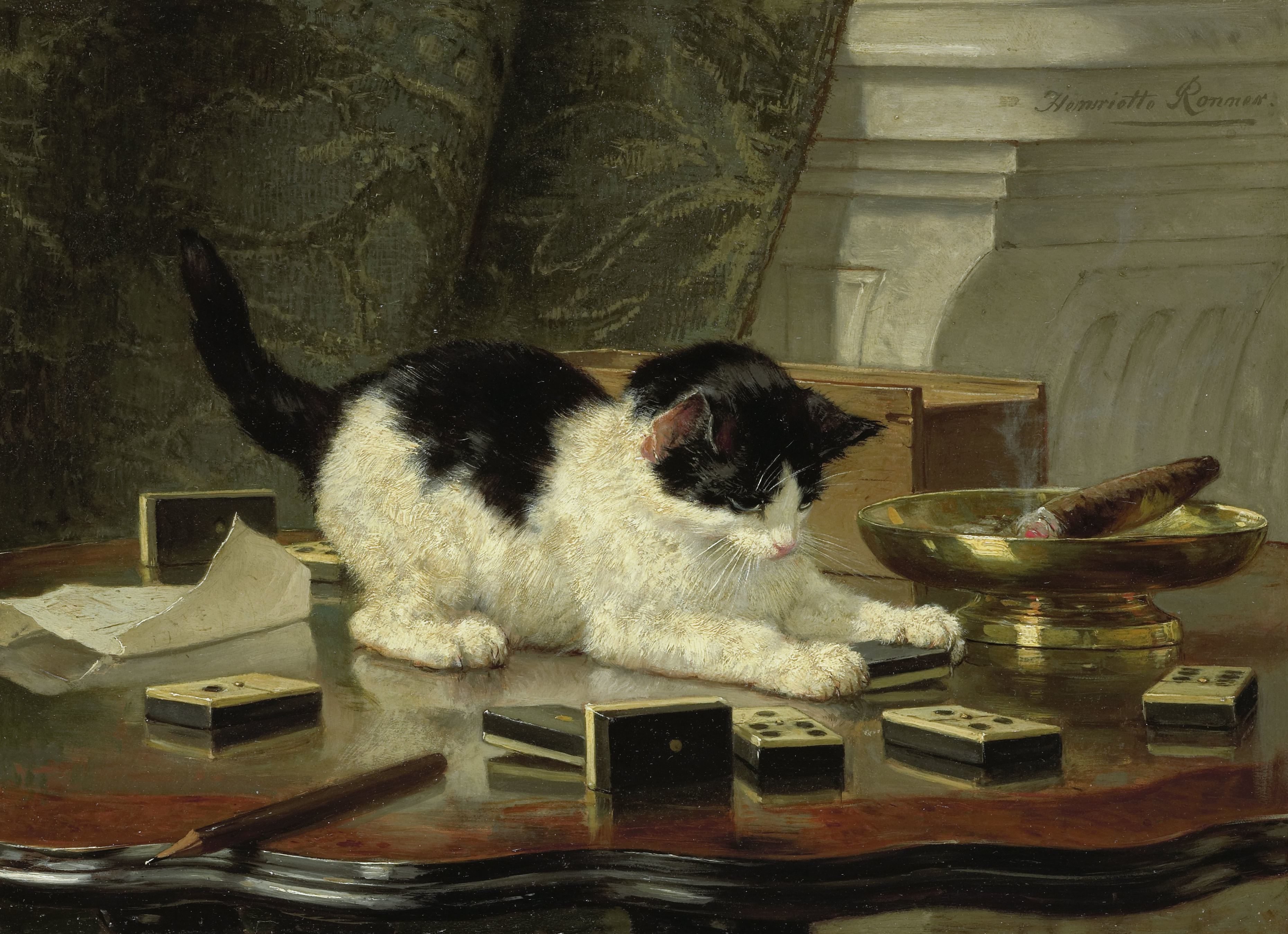 Cat at Play