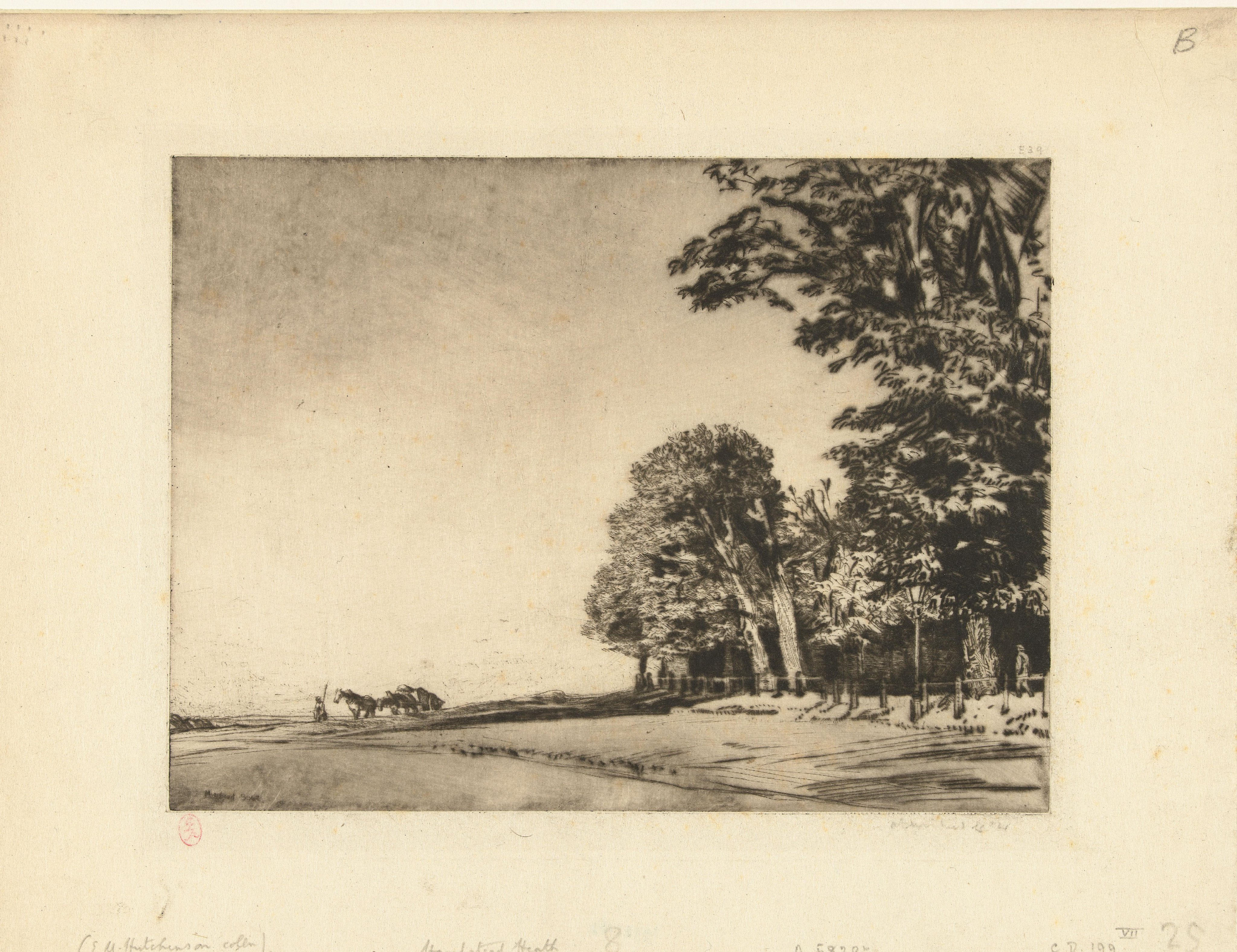 Hampstead Heath
