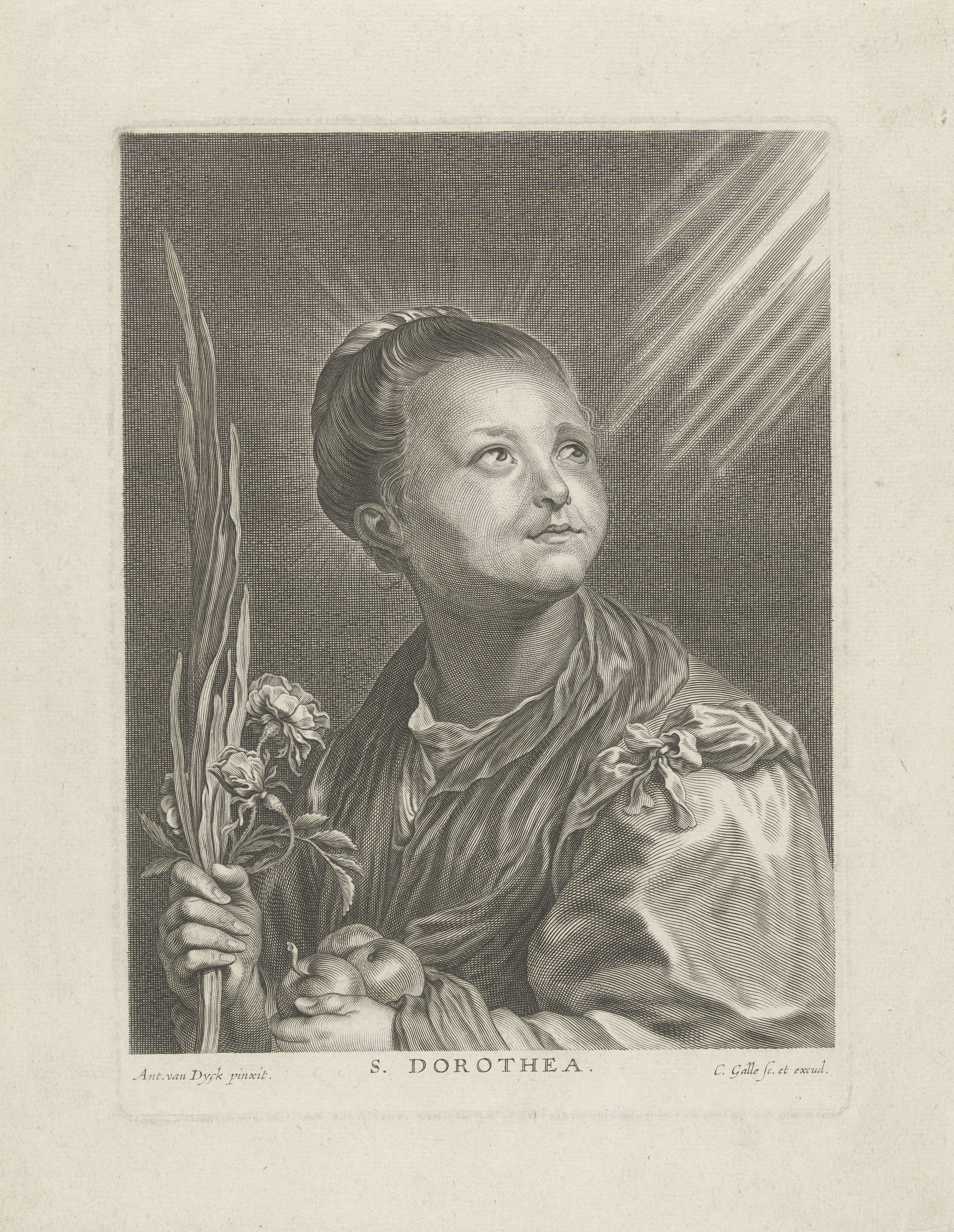 H. Dorothea