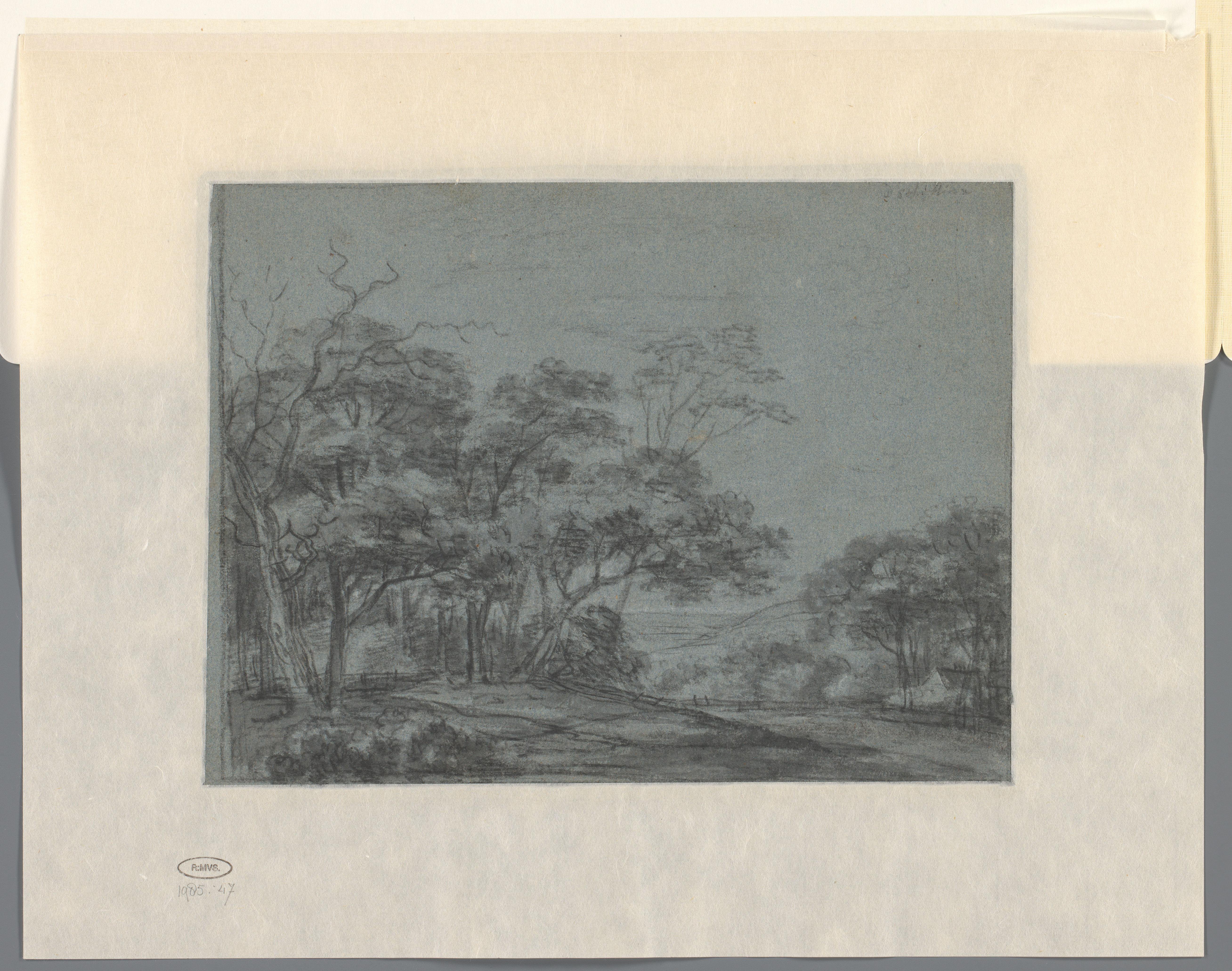 Heuvellandschap met bomen