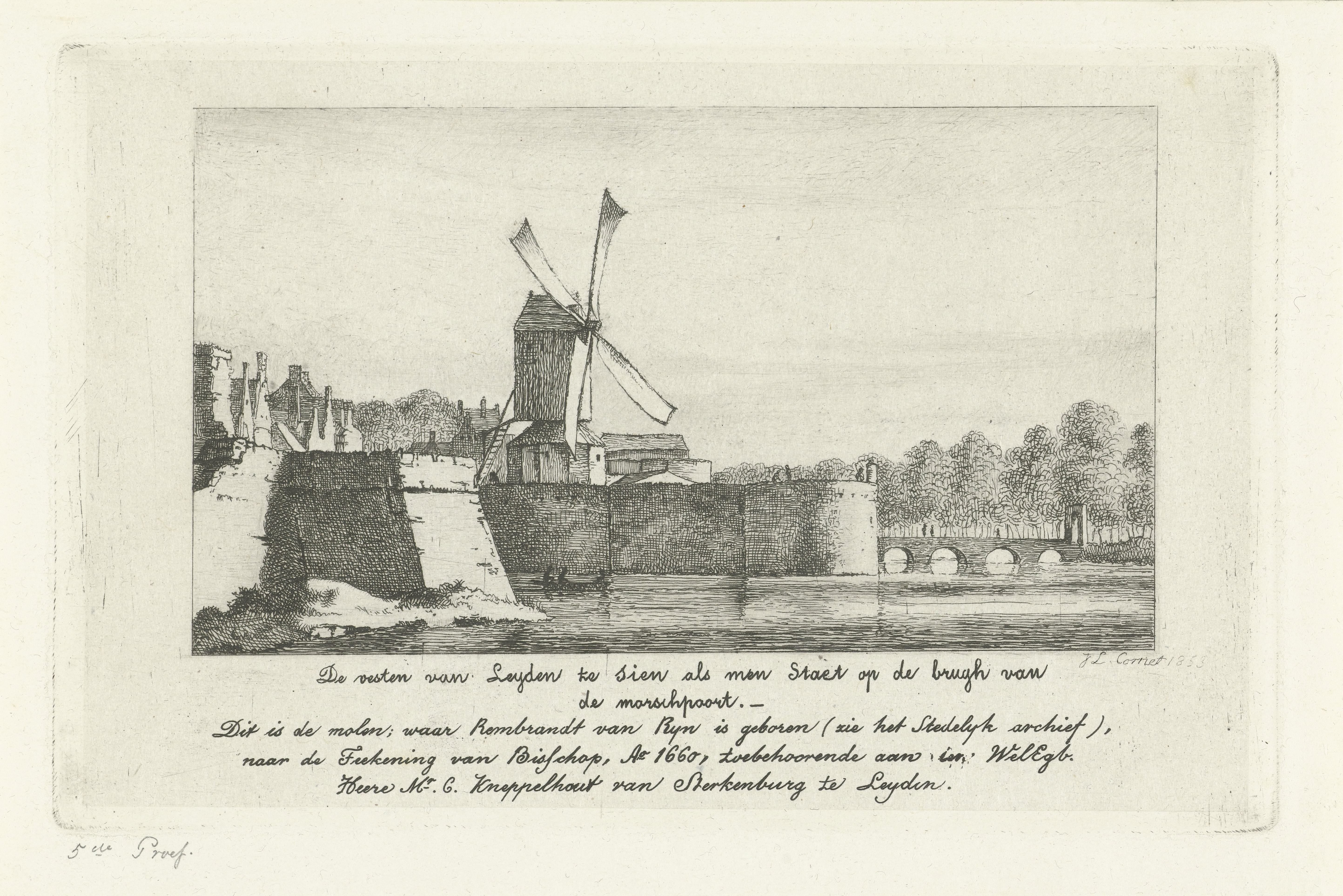 Gezicht op de vesten van Leiden