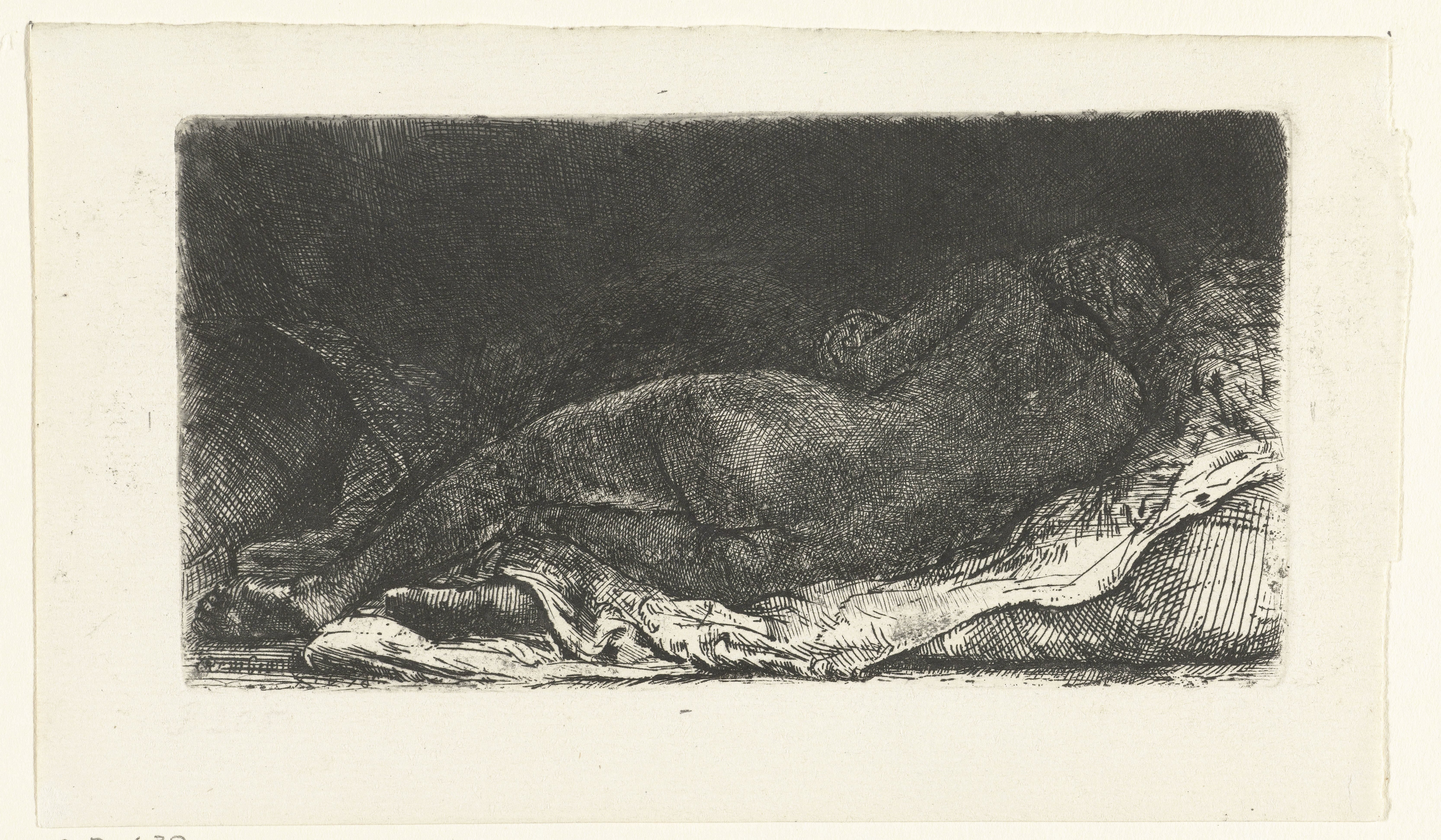 Reclining female nude